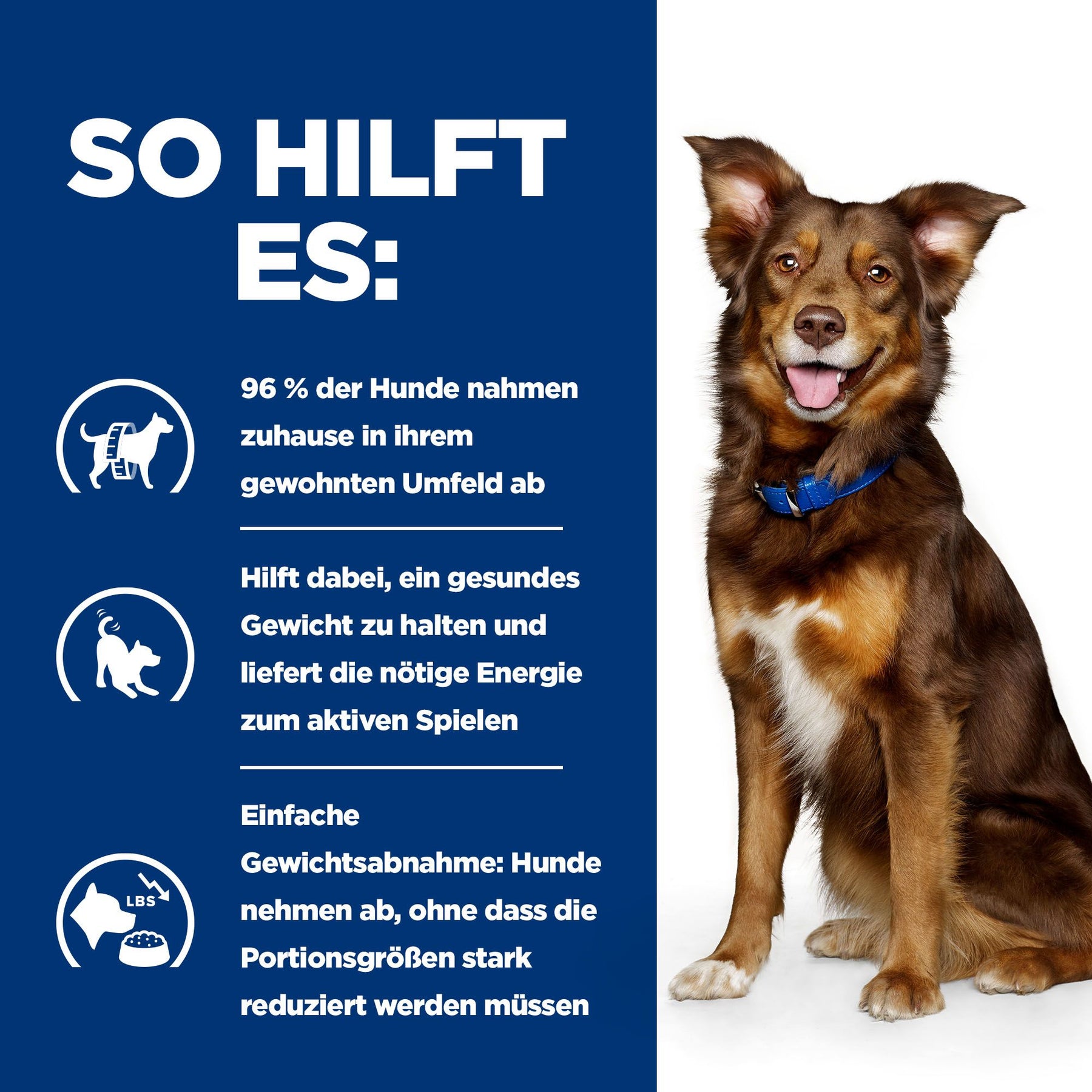 Metabolic Hunde Nassfutter mit Huhn How It Helps