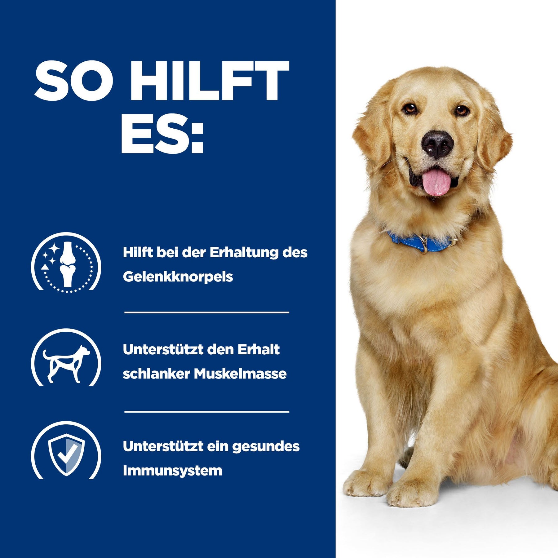 Hill's PRESCRIPTION DIET j/d Pâtée pour Chien