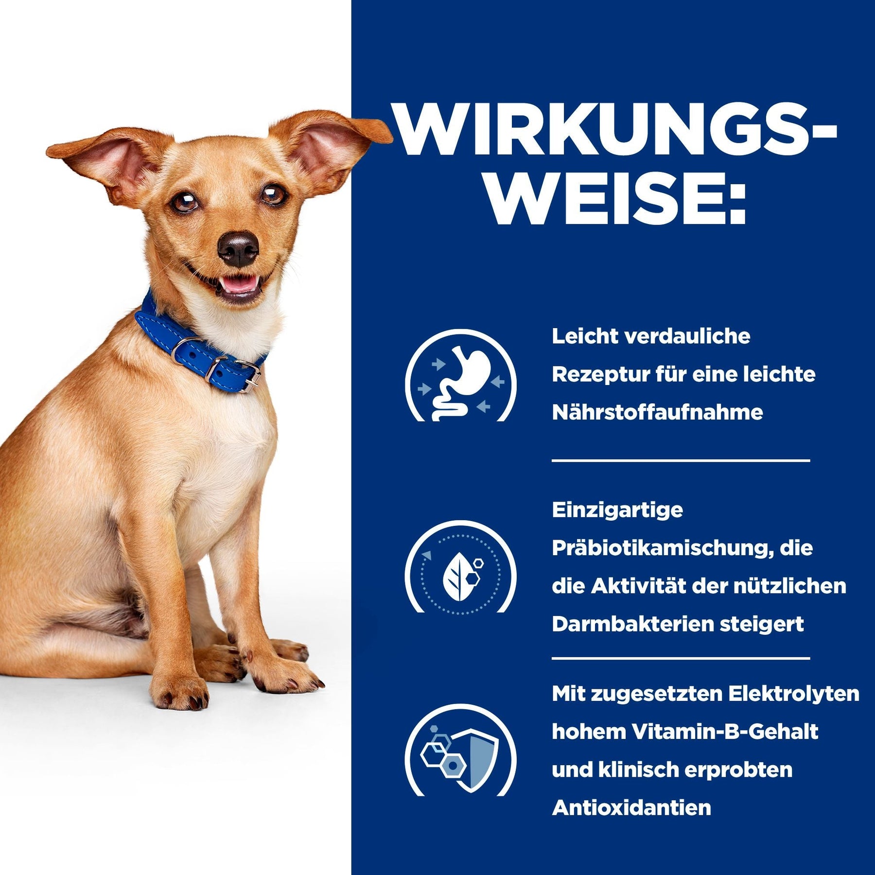 Hill's Prescription Diet i/d Ragout für Hunde mit Huhn und Gemüsezusatz