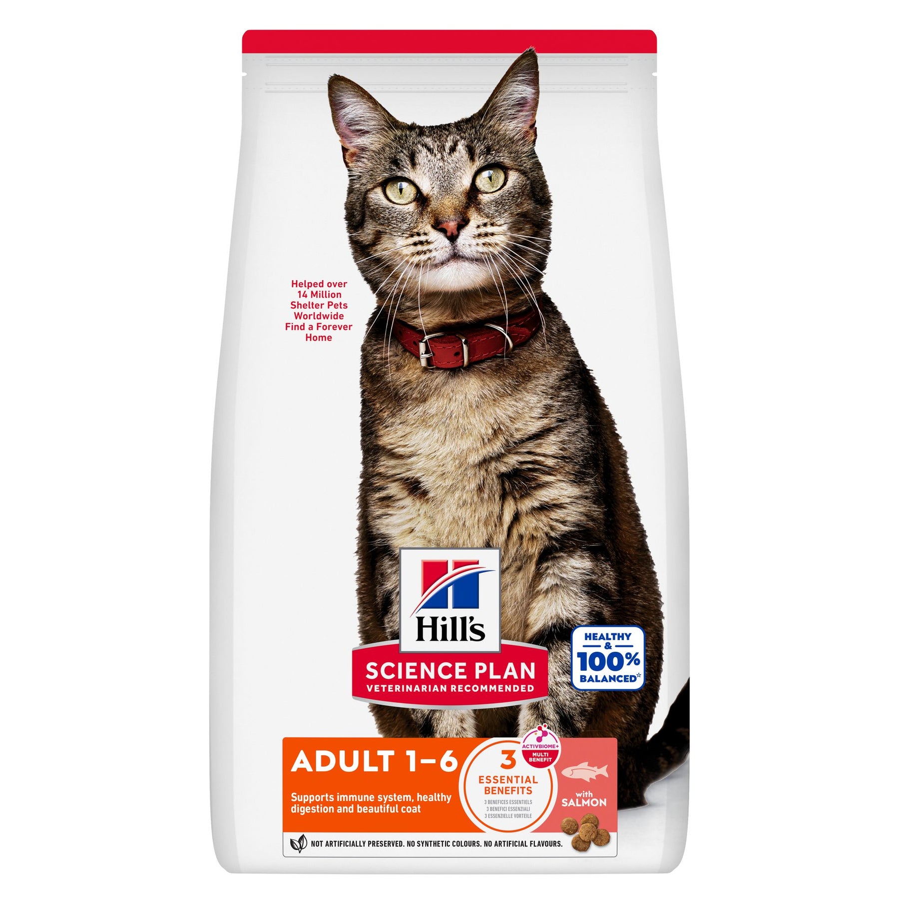 Hill's Science Plan Adult Katzenfutter mit Lachs