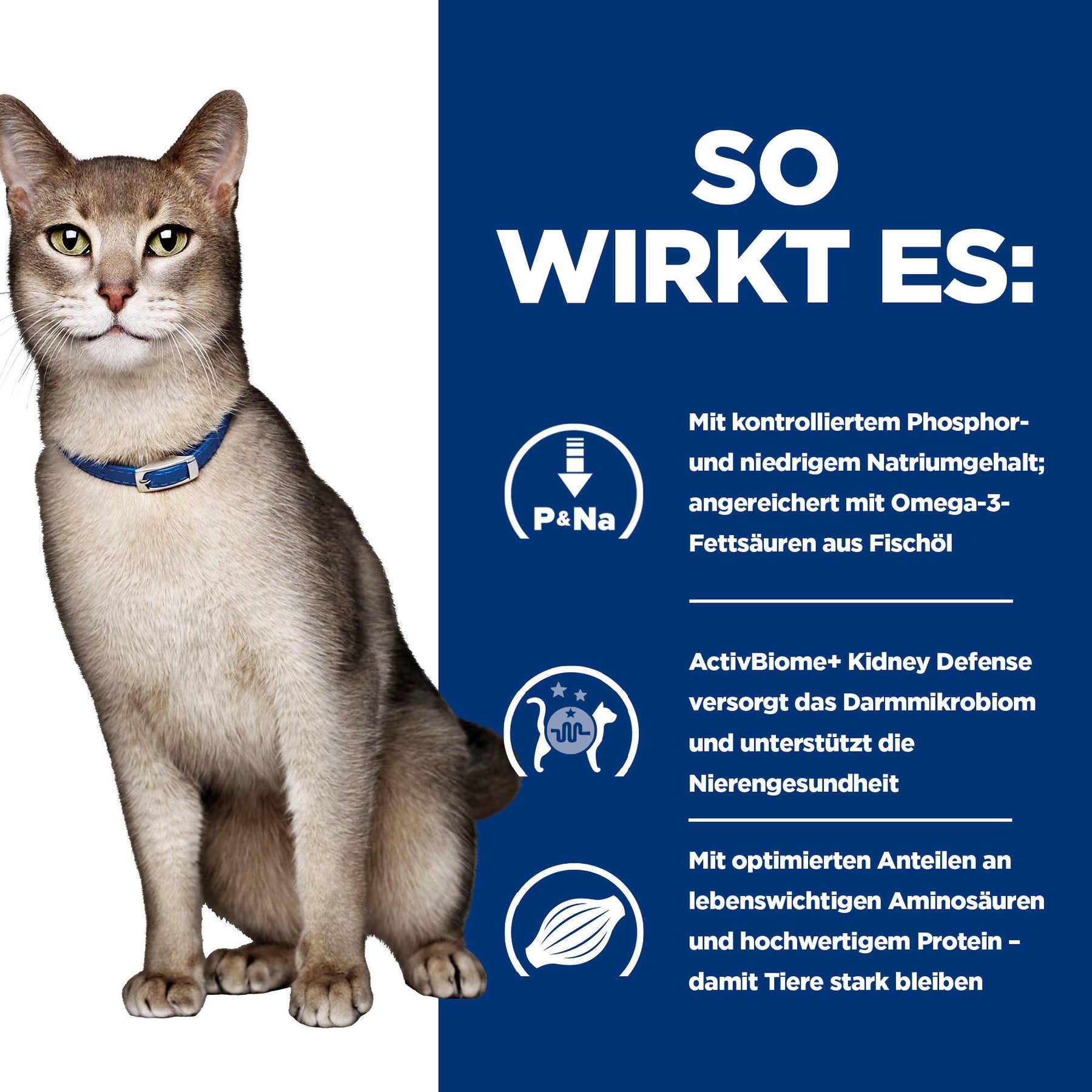k/d Katzen Trockenfutter mit Huhn How It Works