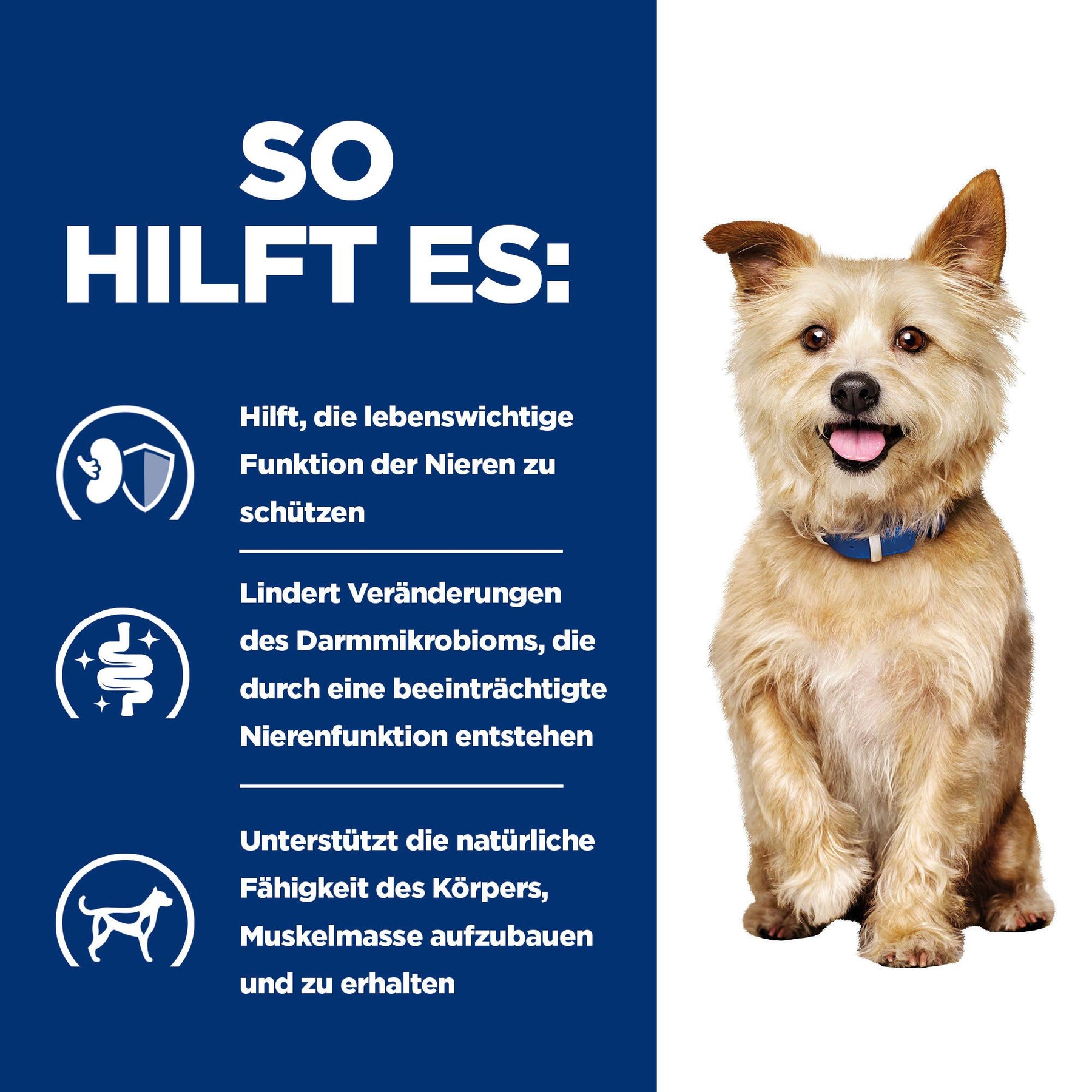 Hill's Prescription Diet k/d Ragout für Hunde mit Huhn und zugefügtem Gemüse