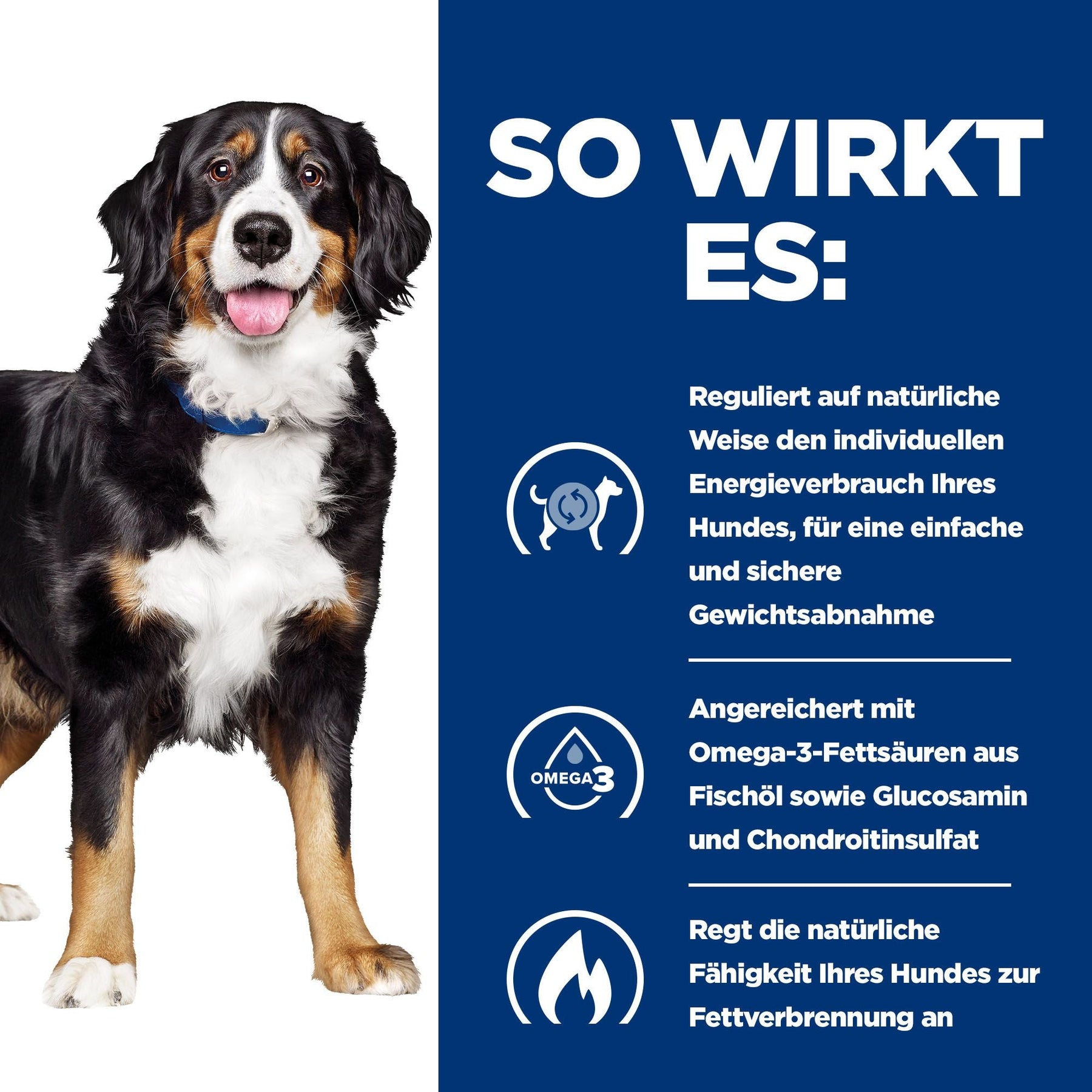 Hill's Prescription Diet Metabolic + Mobility Original Nassfutter für Hunde