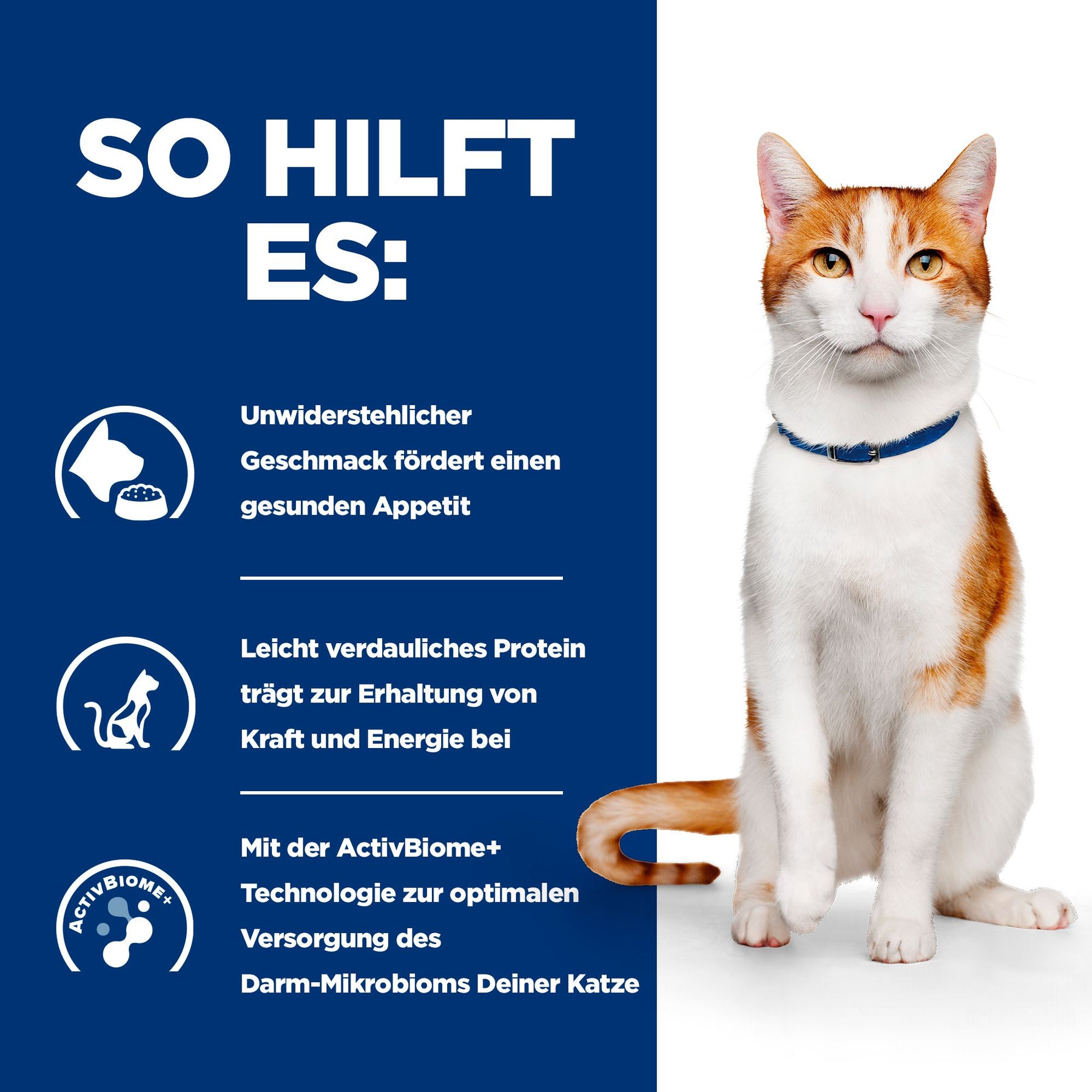 Hill's Prescription Diet ON-Care Aliment pour Chat