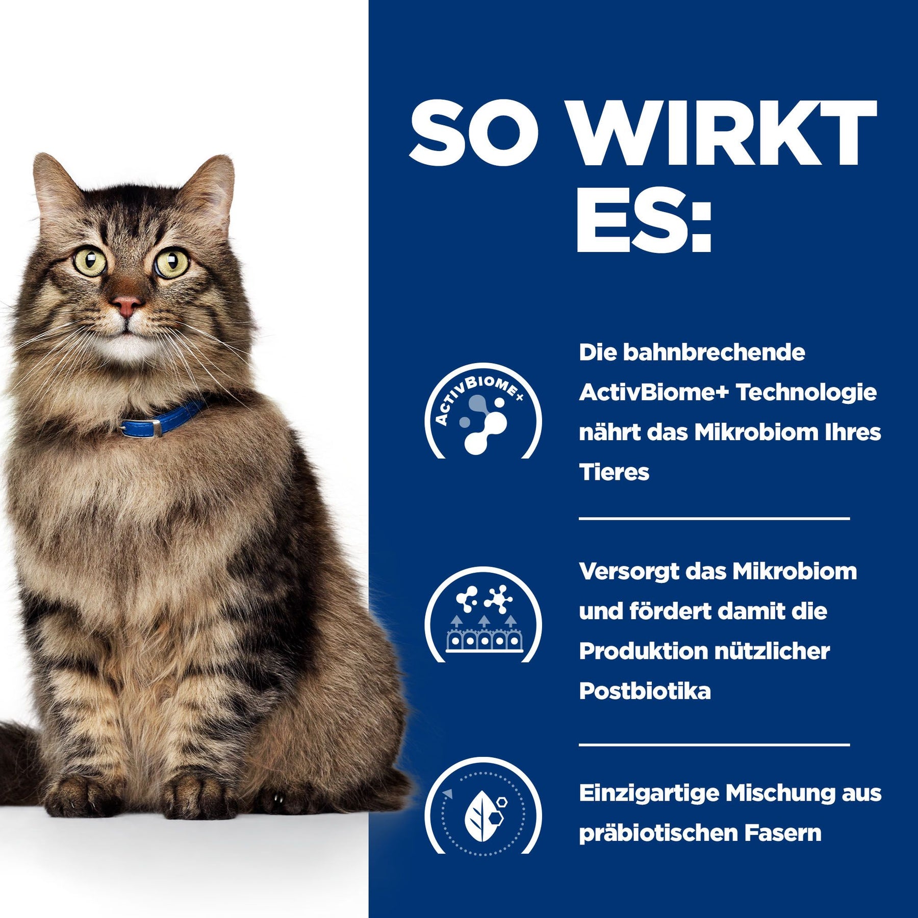 Hill's PRESCRIPTION DIET Gastrointestinal Biome Aliment pour Chat