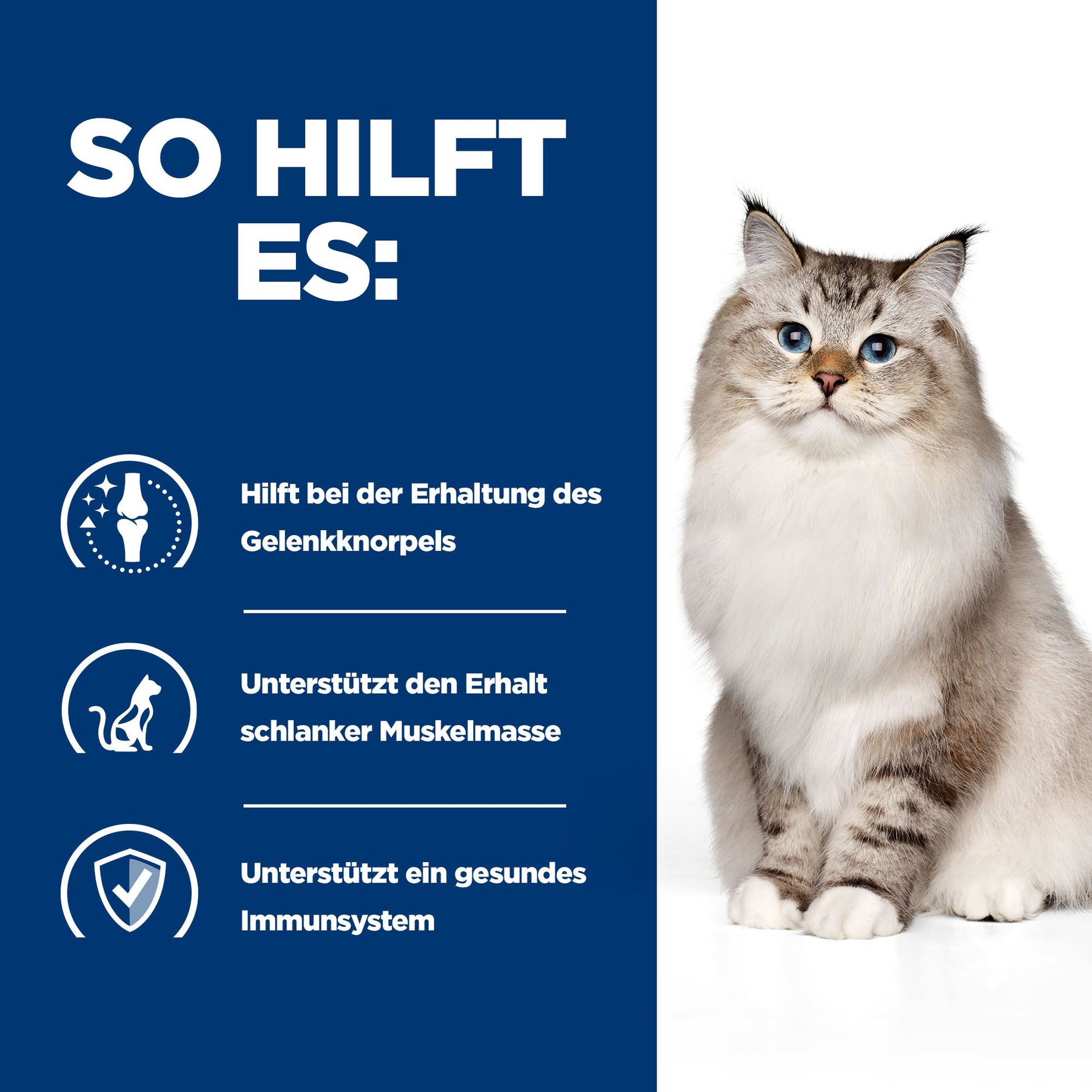 Hill's PRESCRIPTION DIET j/d Aliment pour Chat
