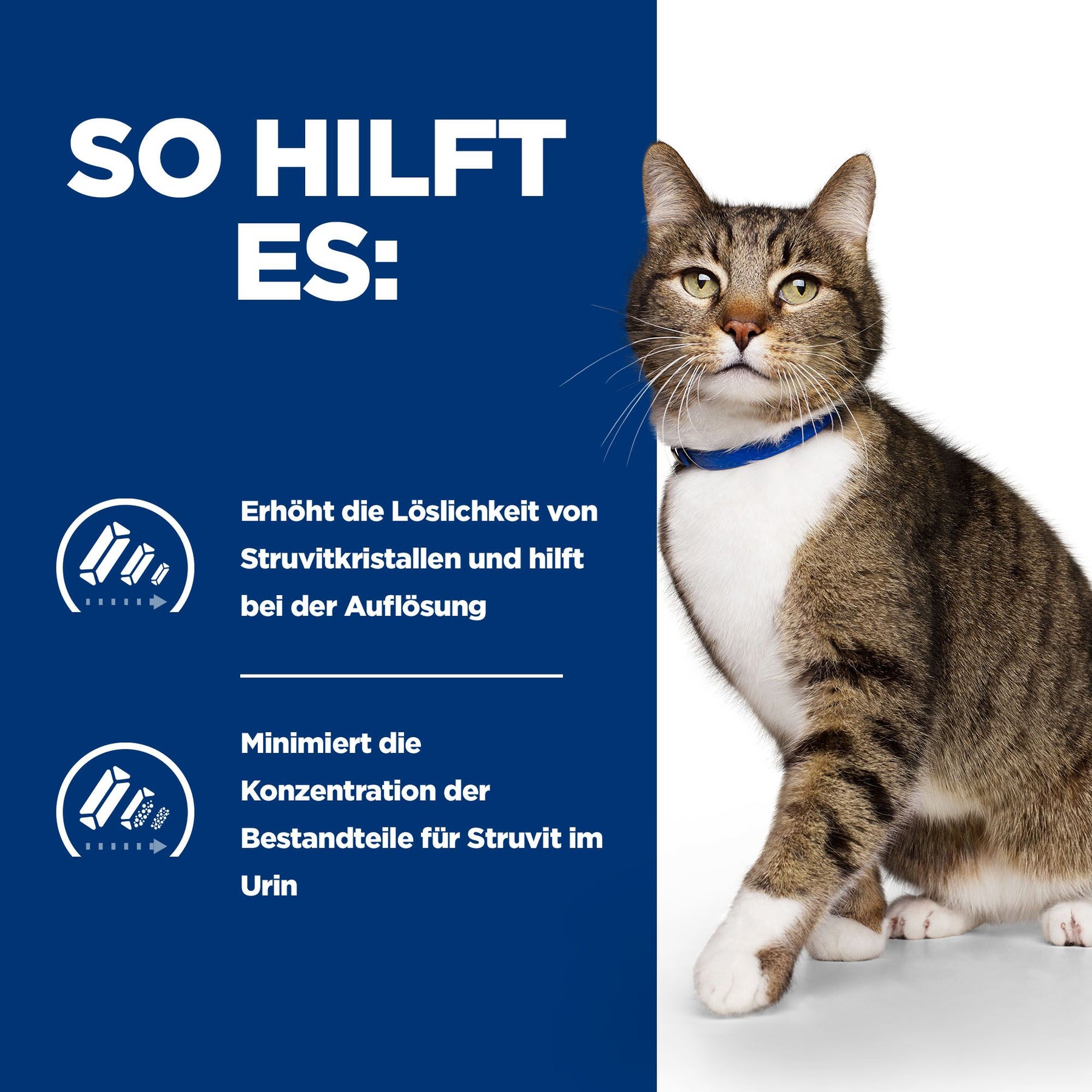 Hill's Prescription Diet s/d Aliment pour Chat
