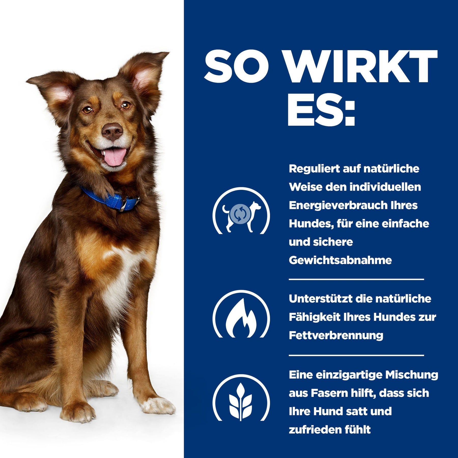 Metabolic Hunde Nassfutter mit Huhn How It Works