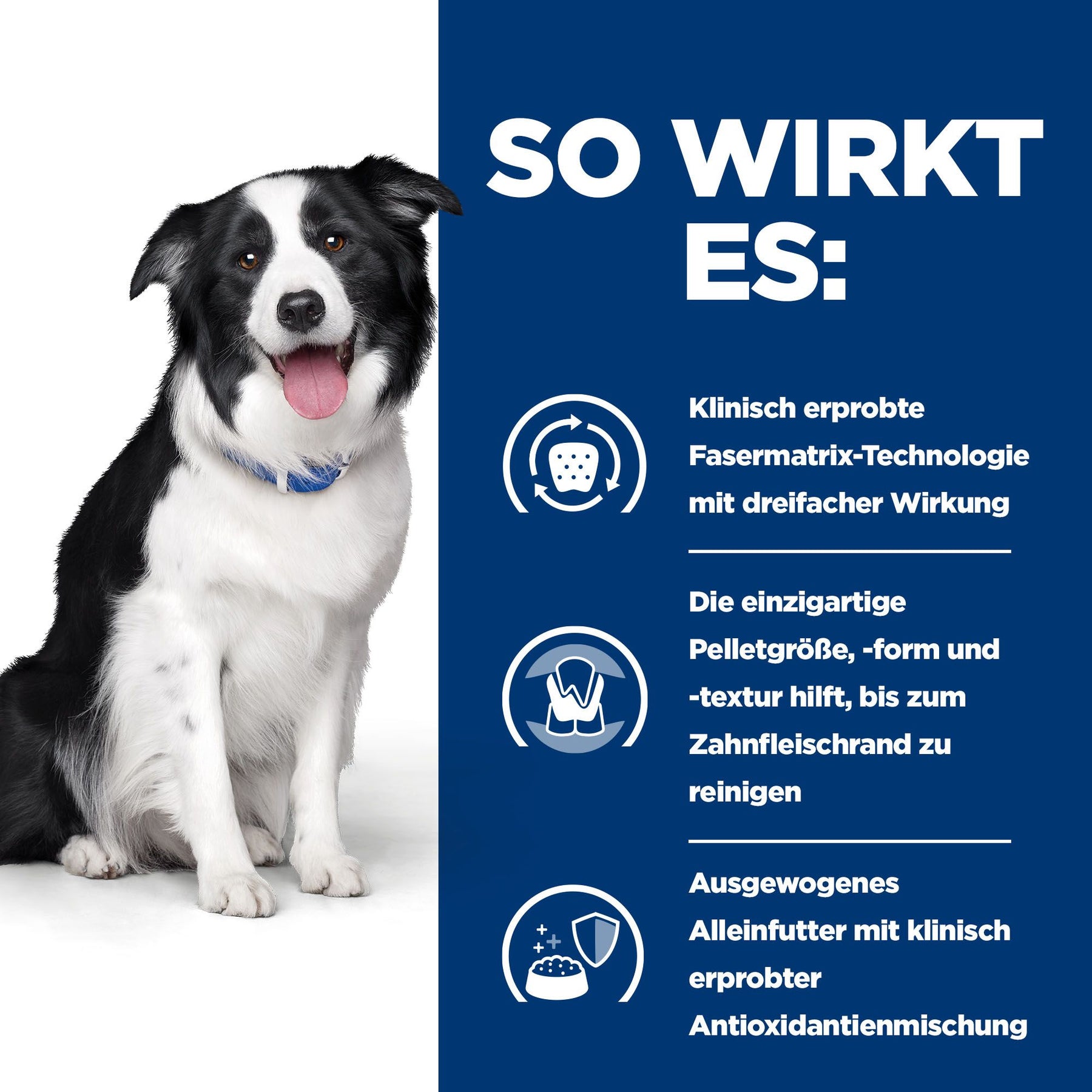 Hill's Prescription Diet t/d Hundefutter mit Huhn