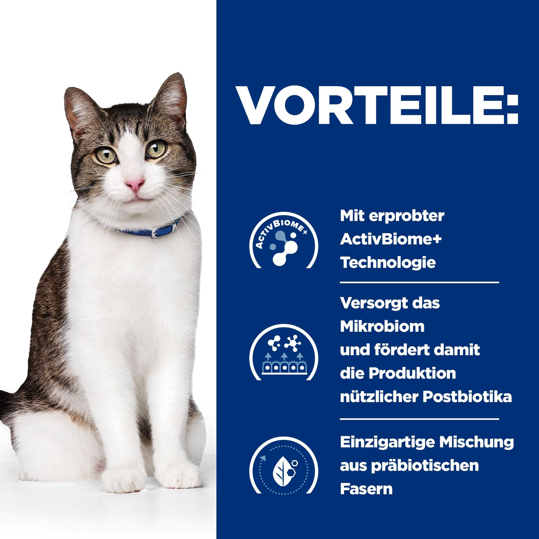 Hill's Prescription Diet Gastrointestinal Biome Stress - Croquettes pour Chat - au Poulet