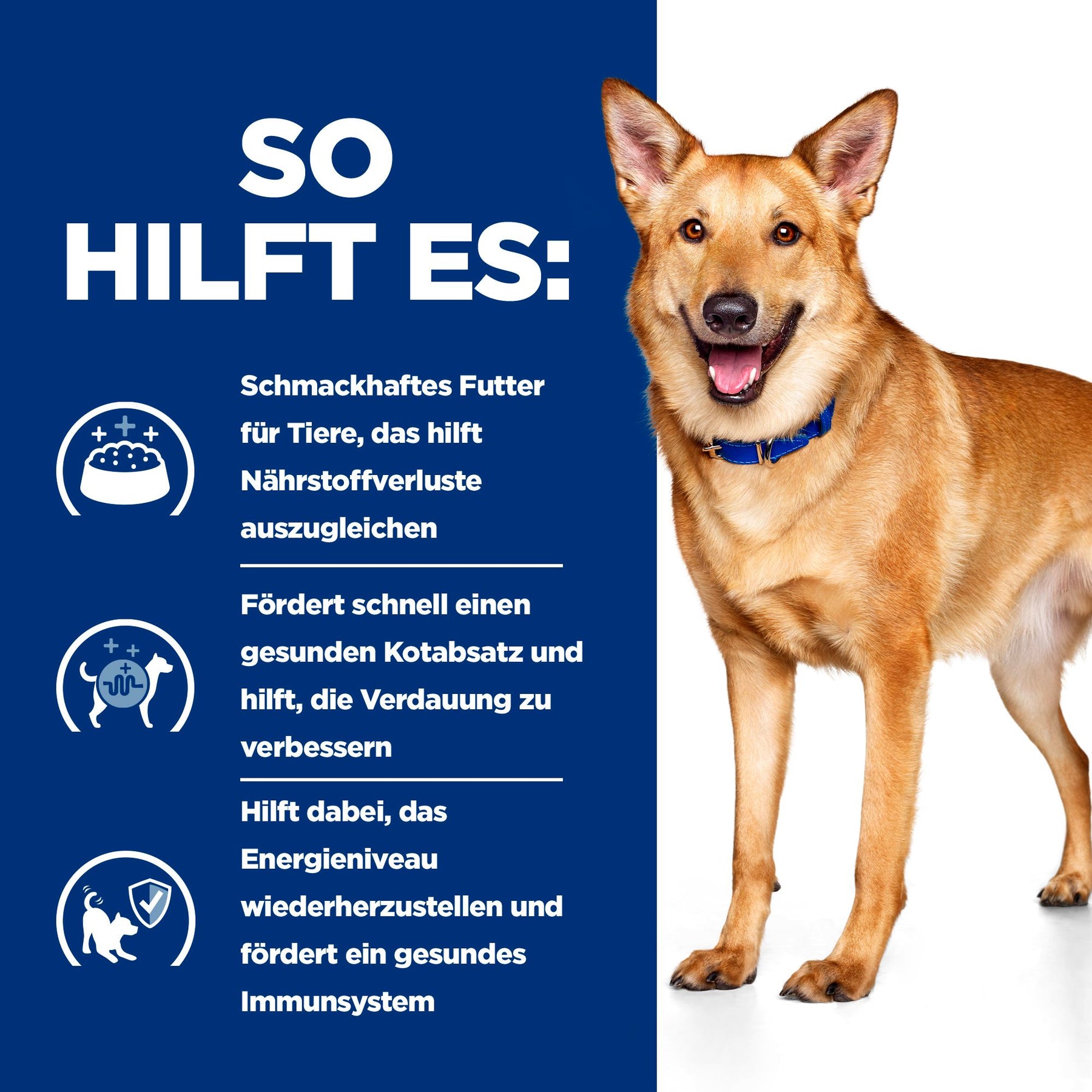 Hill's Prescription Diet i/d Digestive Care Pâtée pour Chien à la Dinde