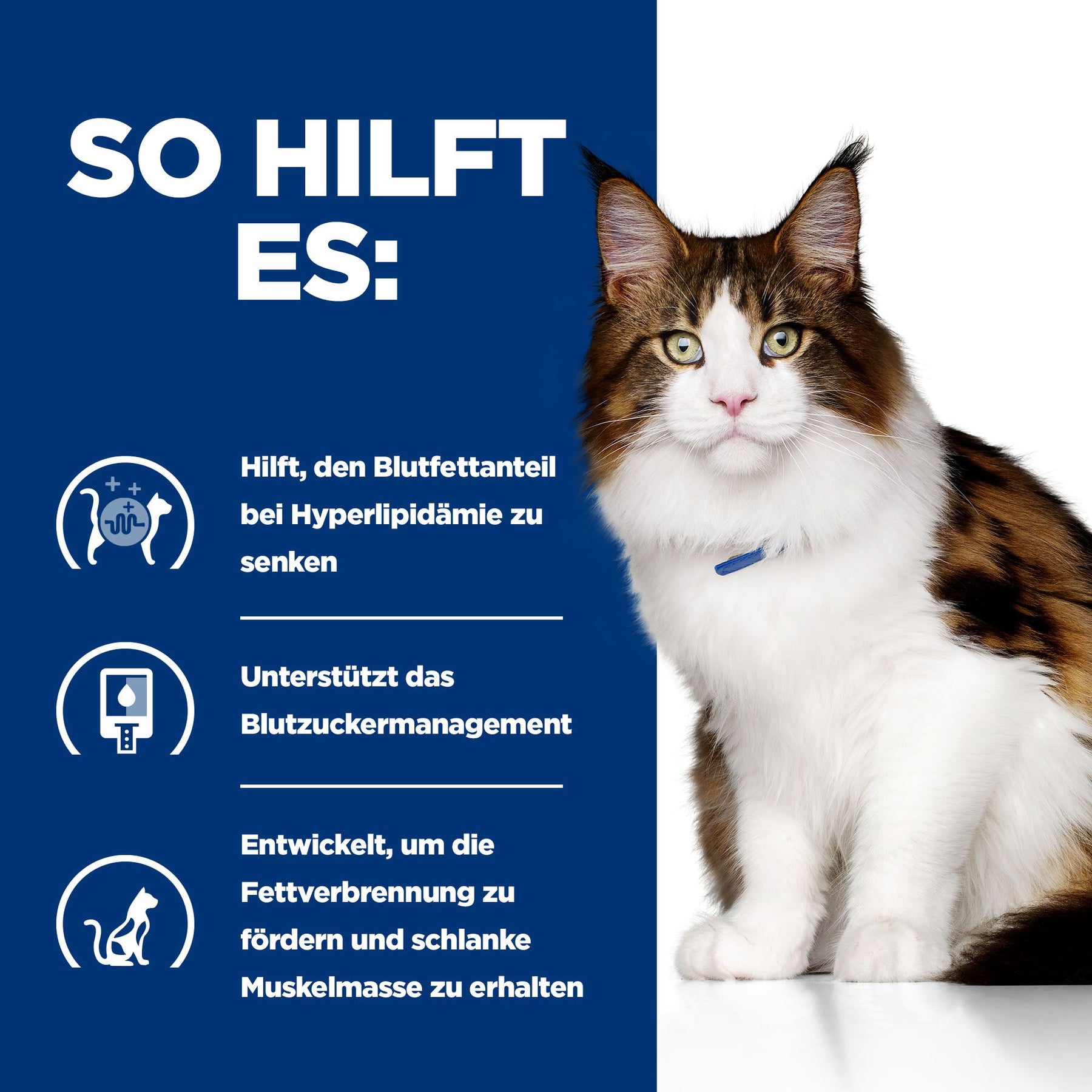 Hill's PRESCRIPTION DIET w/d Sachet Repas pour Chat