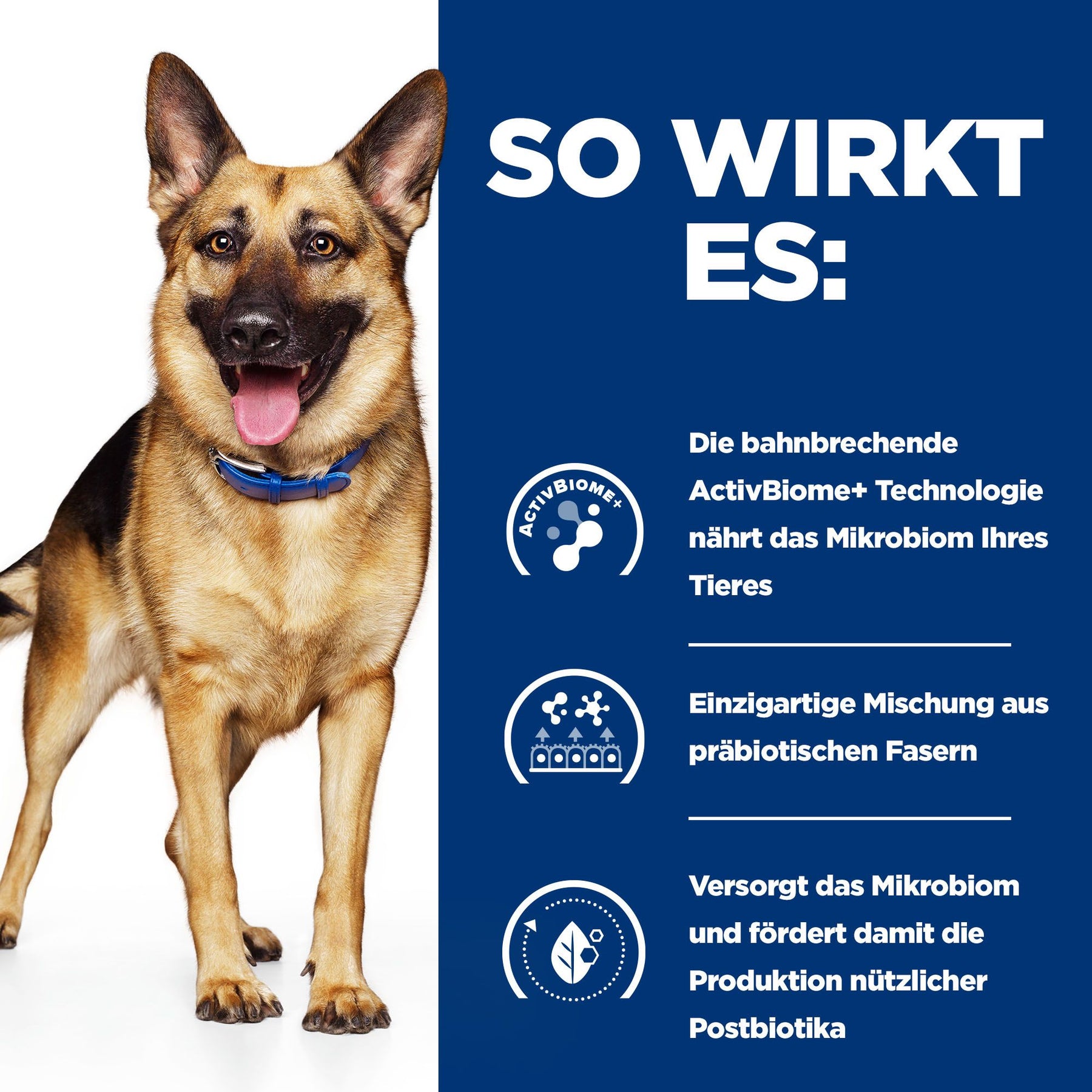 Hill's Prescription Diet Gastrointestinal Biome Mijotés pour Chien