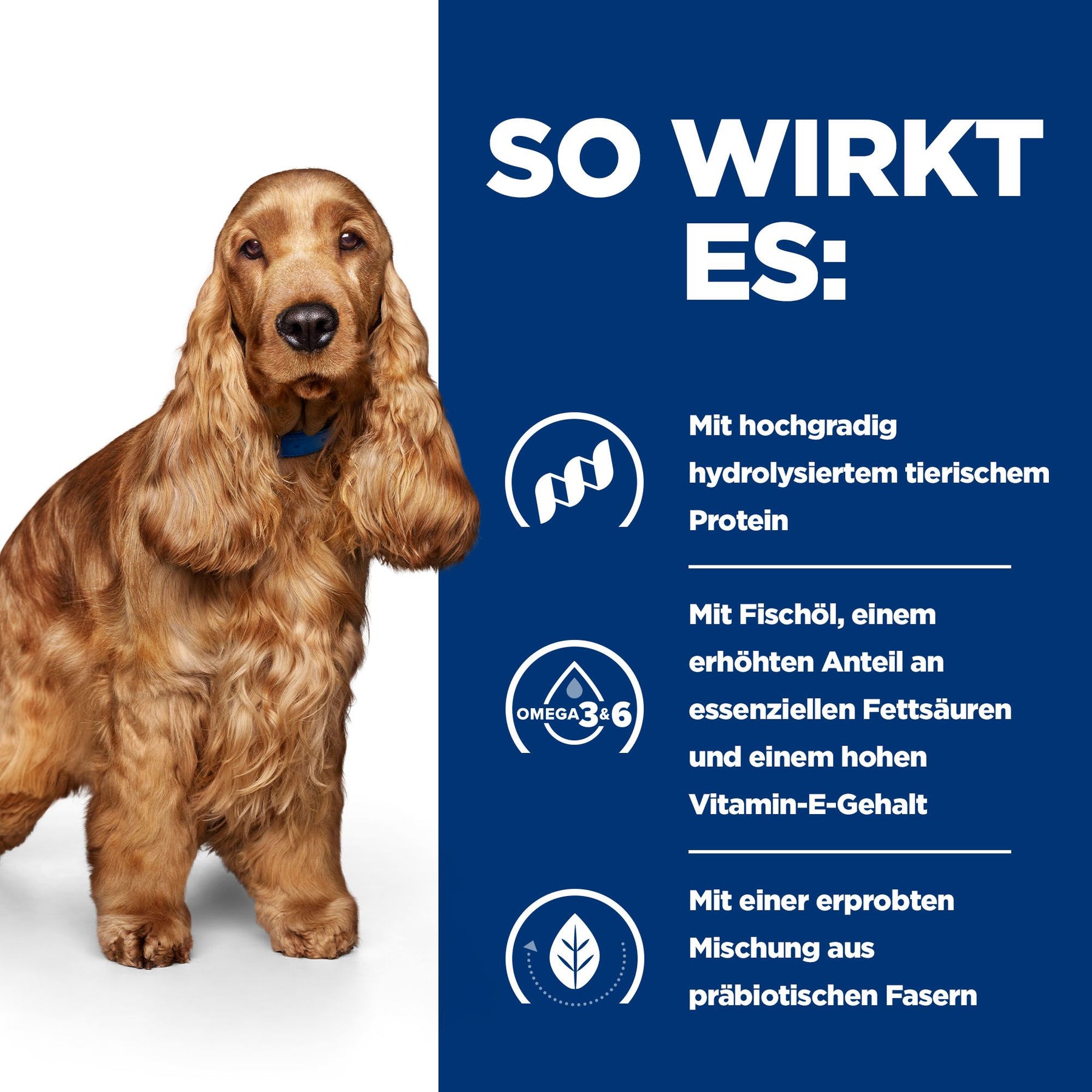 Hill's Prescription Diet z/d Aliment pour Chien