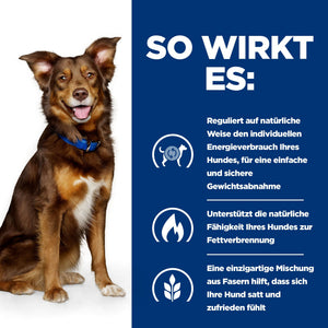 Hill's Prescription Diet Metabolic Pâtée pour Chien au Bœuf