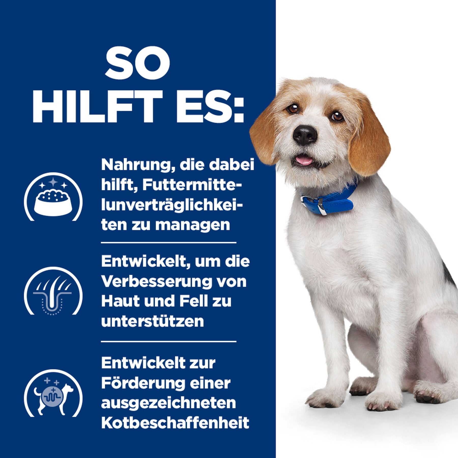 Hill's Prescription Diet z/d Low fat croquettes pour chien au soja hydrolysé