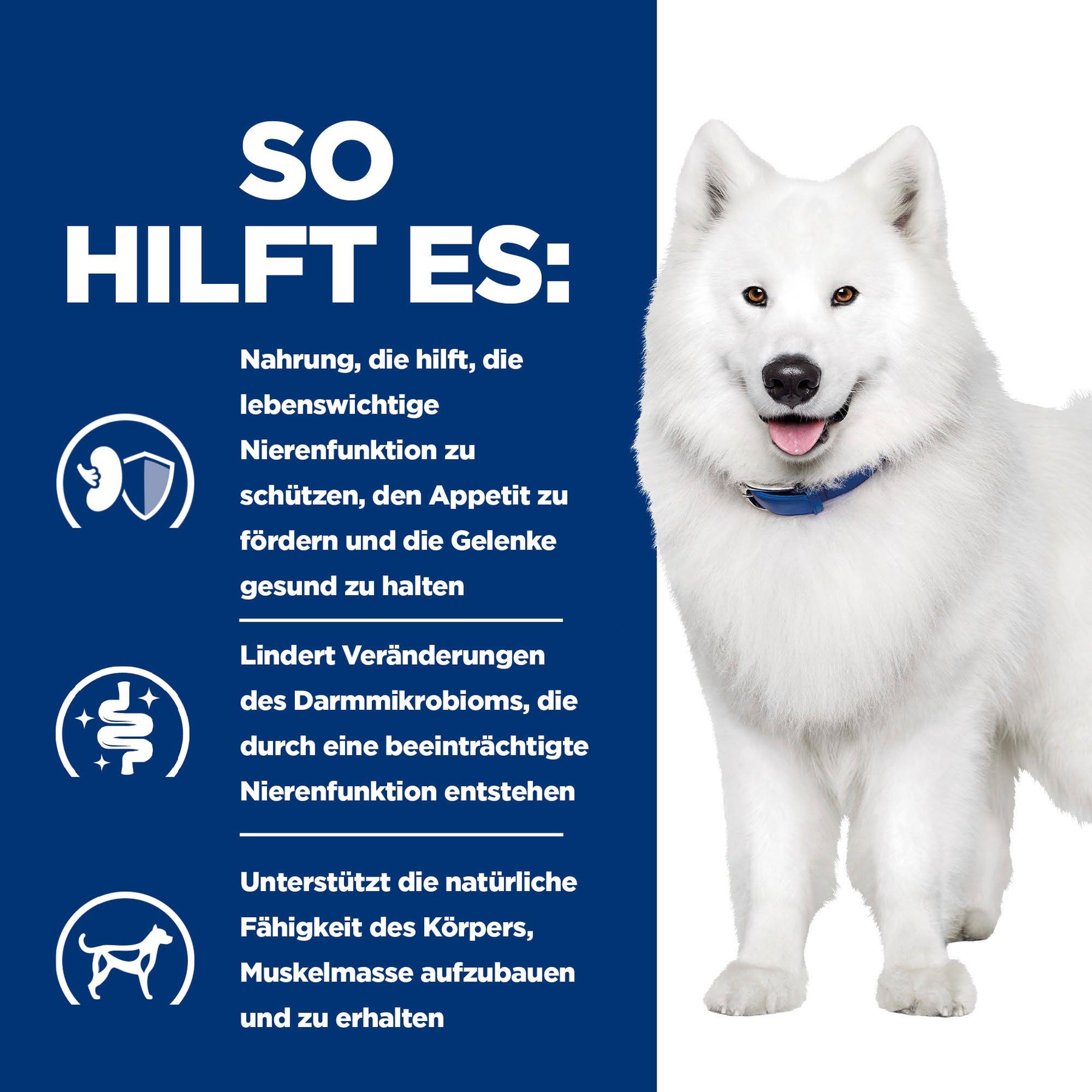 Hill's Prescription Diet k/d + Mobility Trockenfutter für Hunde