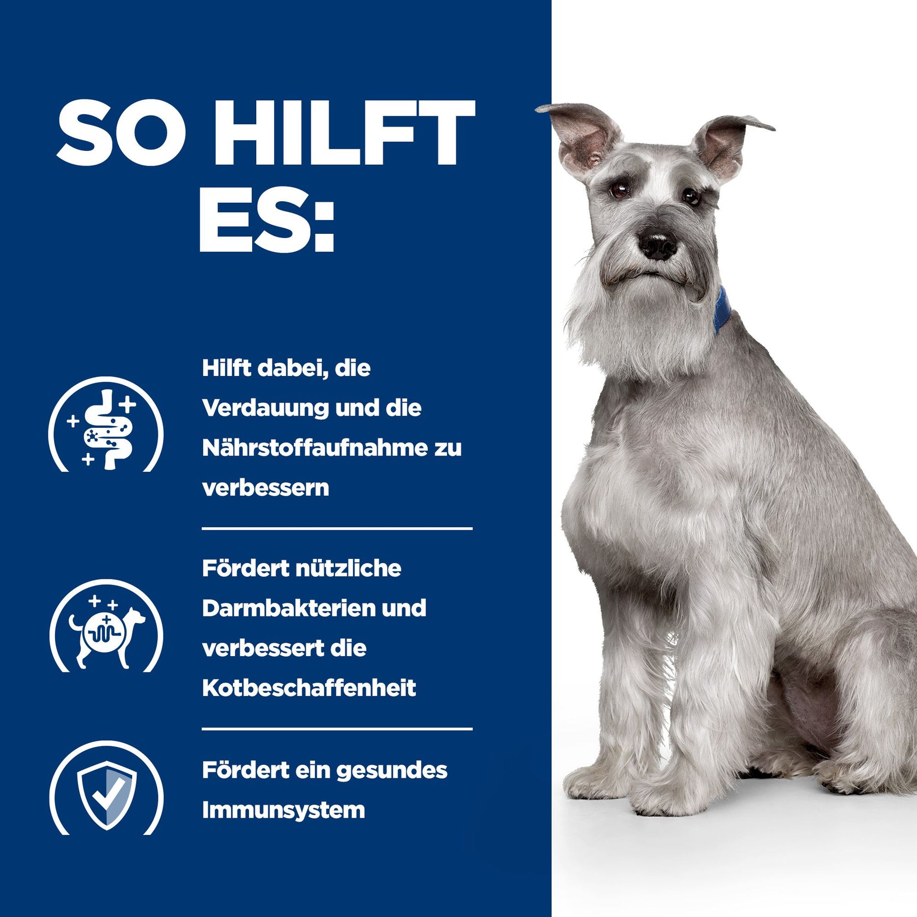 Hill's PRESCRIPTION DIET i/d Low Fat Mijoté pour Chien