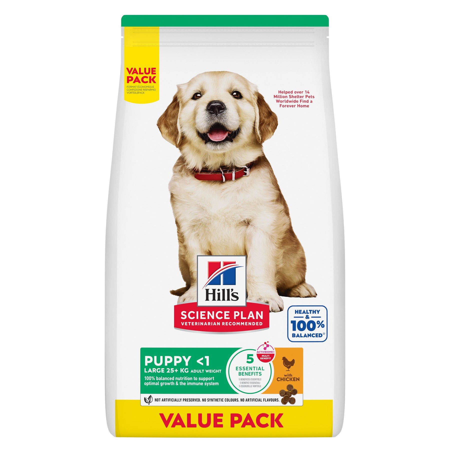 Large Breed Puppy Welpenfutter Packshot