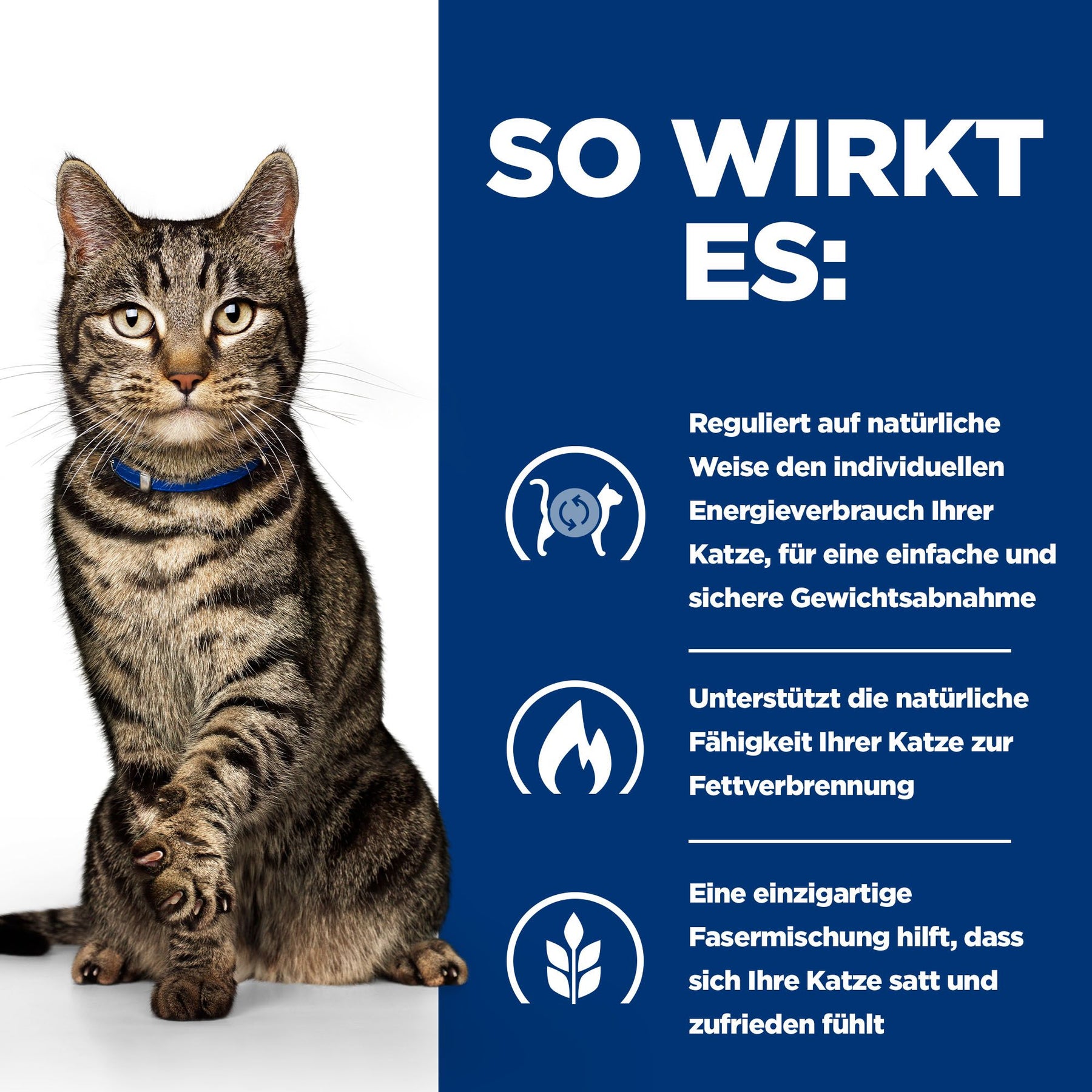 Hill's Prescription Diet Metabolic Ragout für Katzen mit Huhn und zugefügtem Gemüse