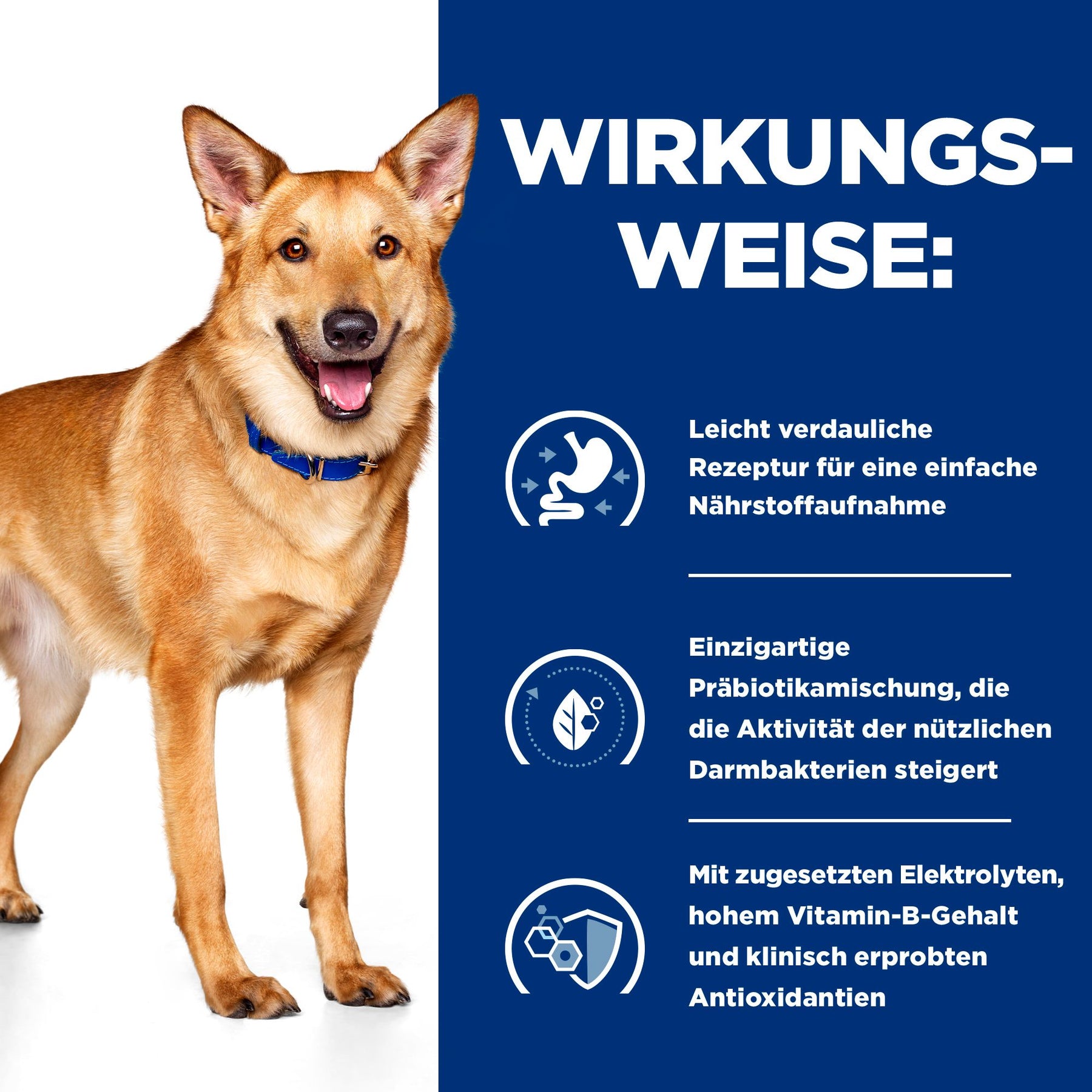 Hill's Prescription Diet i/d Hundefutter mit Huhn