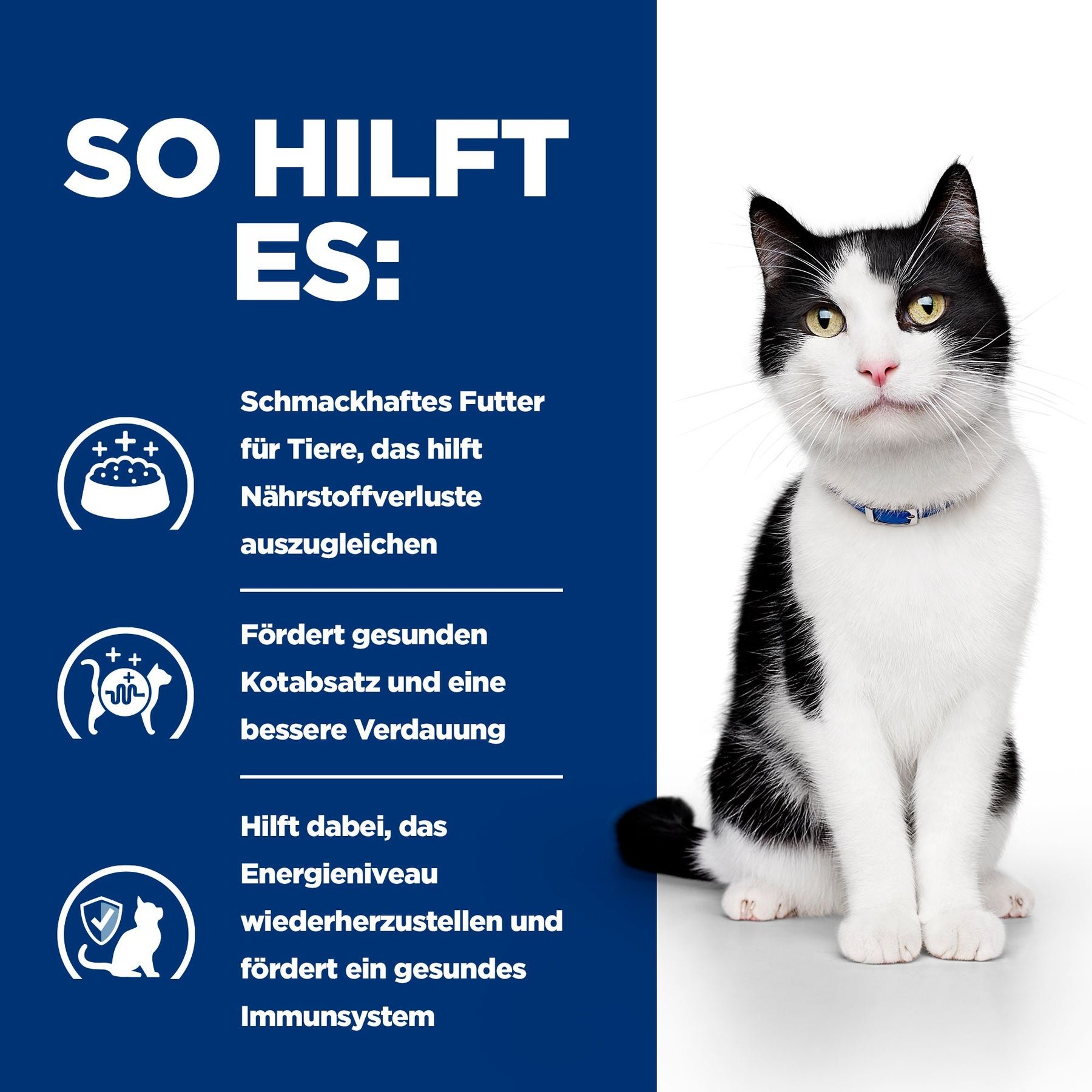 i/d Katzenfutter How It Helps