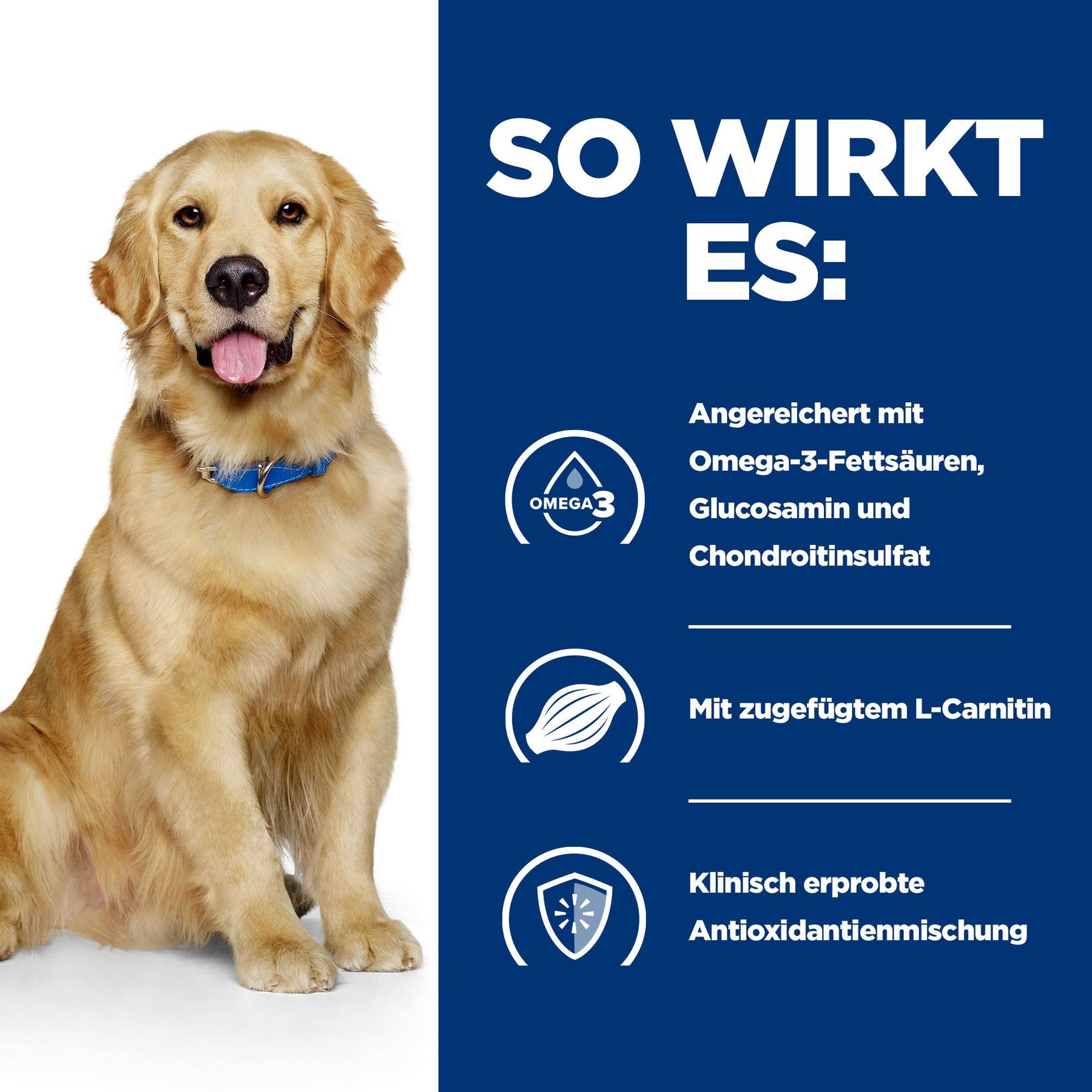 Hill's PRESCRIPTION DIET j/d Pâtée pour Chien