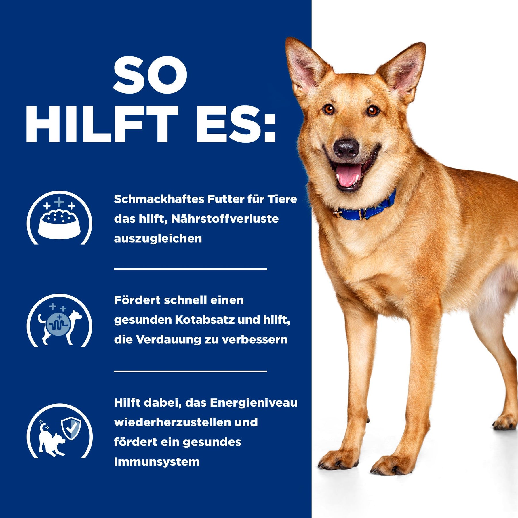 Hill's Prescription Diet i/d Hundefutter mit Huhn