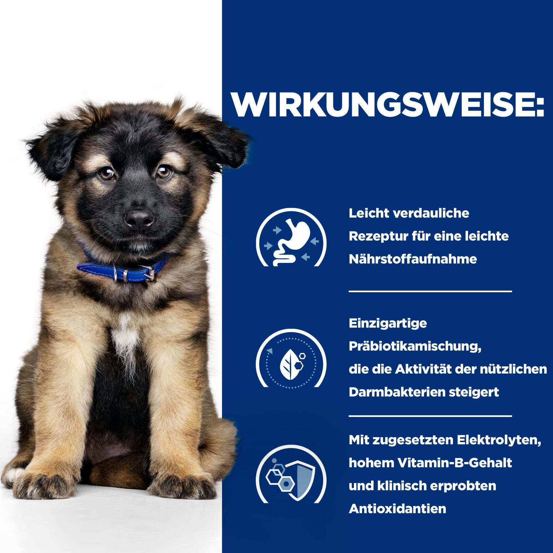 Hill's Prescription Diet i/d Welpenfutter mit Huhn