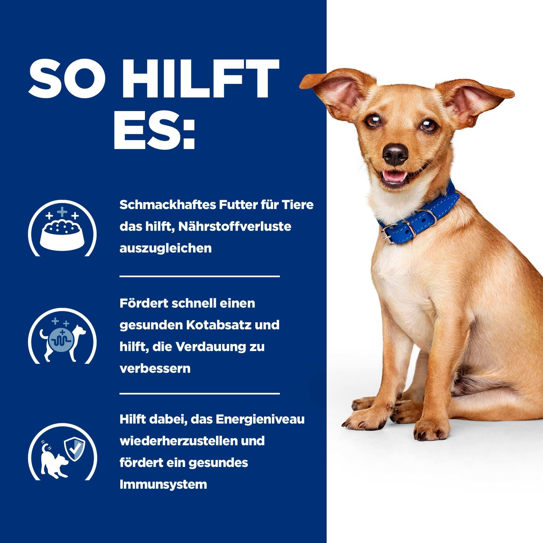 Hill's Prescription Diet i/d Ragout für Hunde mit Huhn und Gemüsezusatz