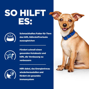 Hill's Prescription Diet i/d Ragout für Hunde mit Huhn und Gemüsezusatz