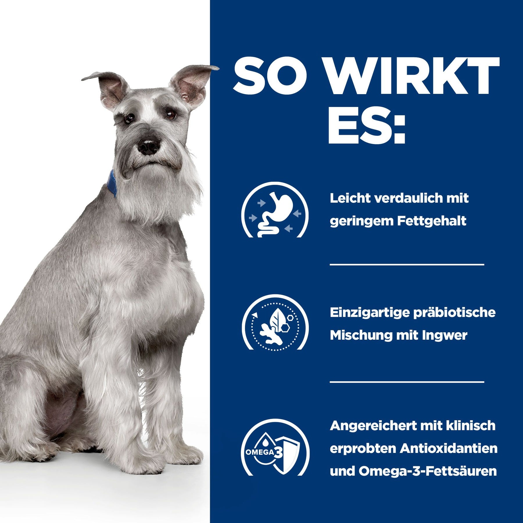 Hill's PRESCRIPTION DIET i/d Low Fat Mijoté pour Chien