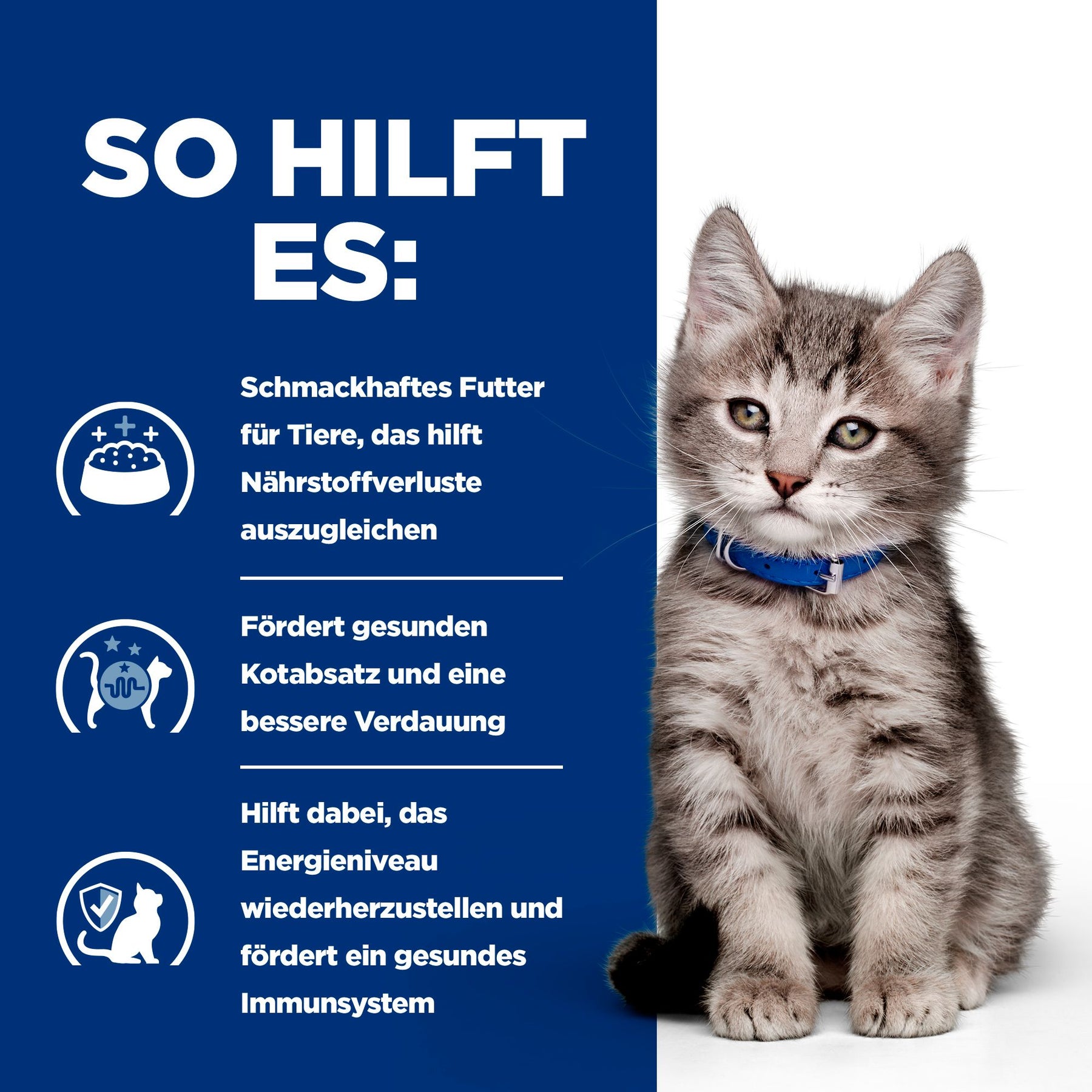 i/d Kätzchenfutter How It Helps