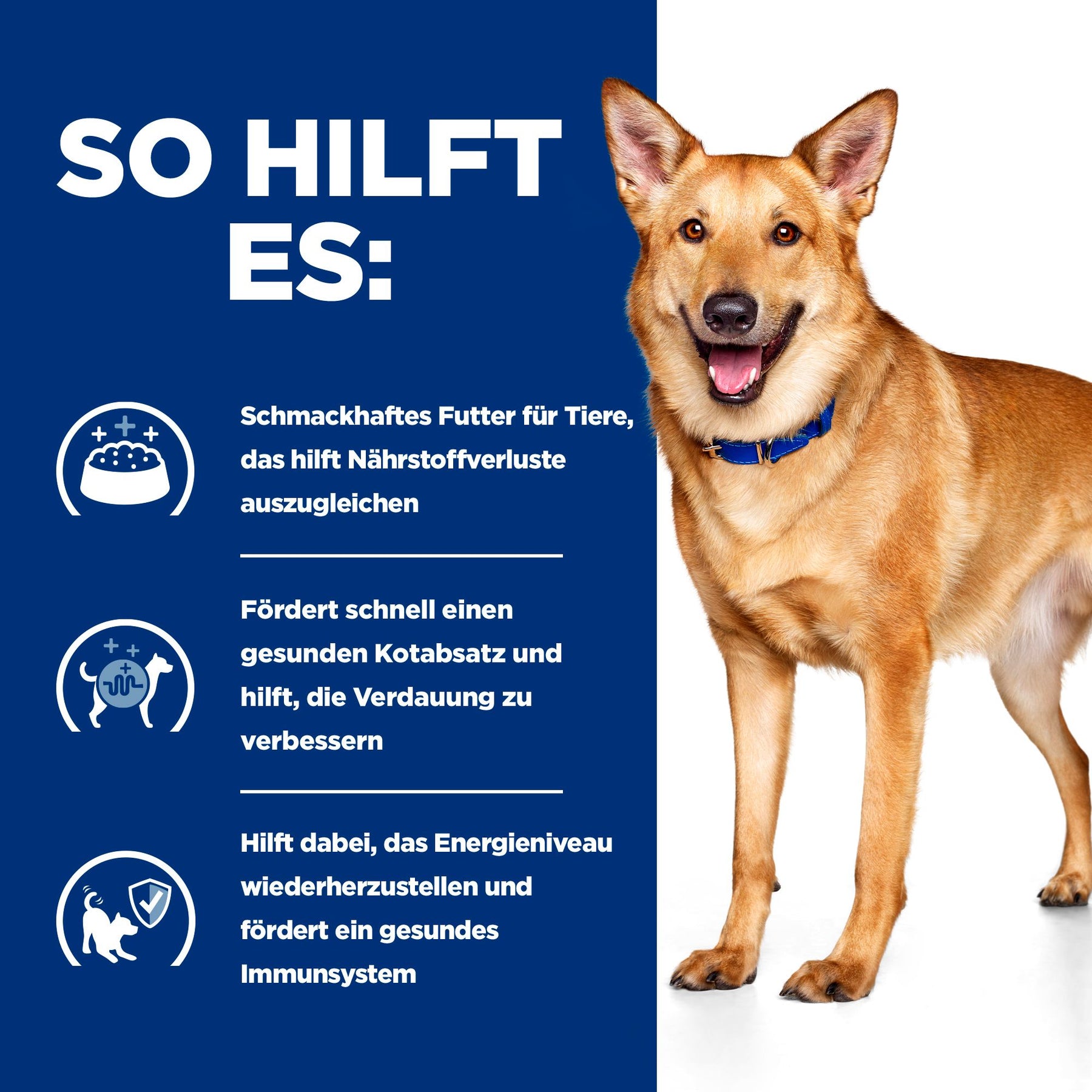 i/d Ragout für Hunde How It Helps