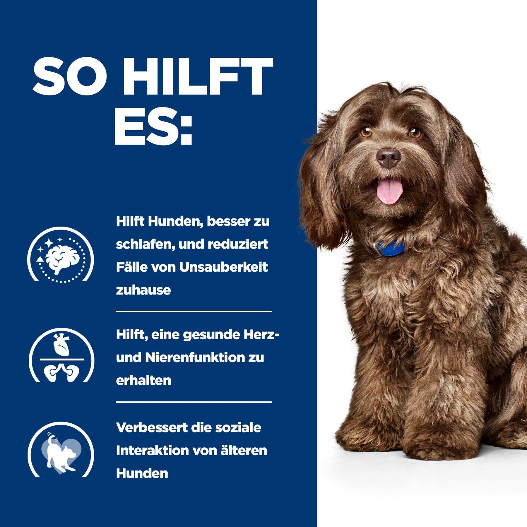 b/d Trockenfutter für Hunde mit Huhn How It Helps