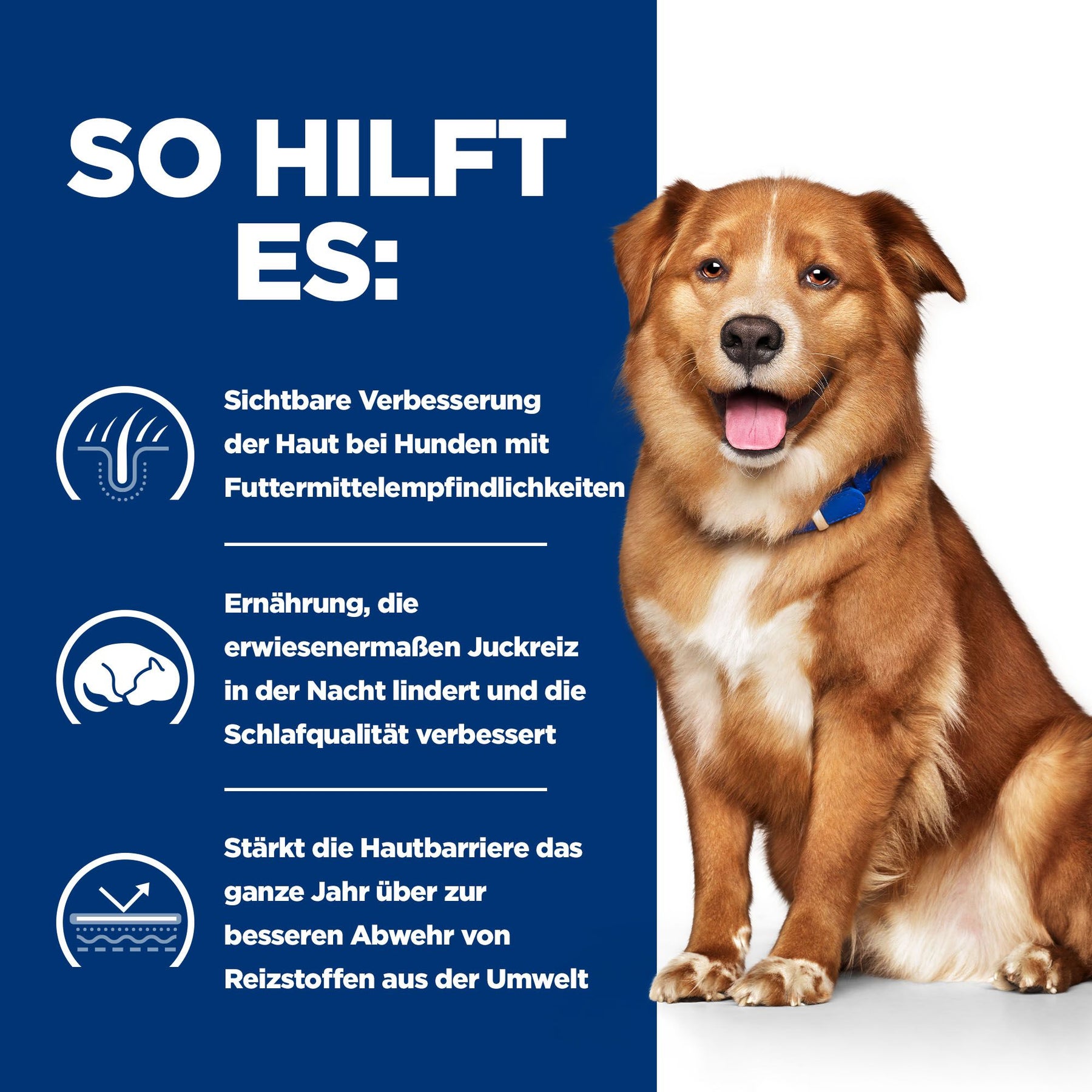 Derm Complete Nassfutter für Hunde How It Helps