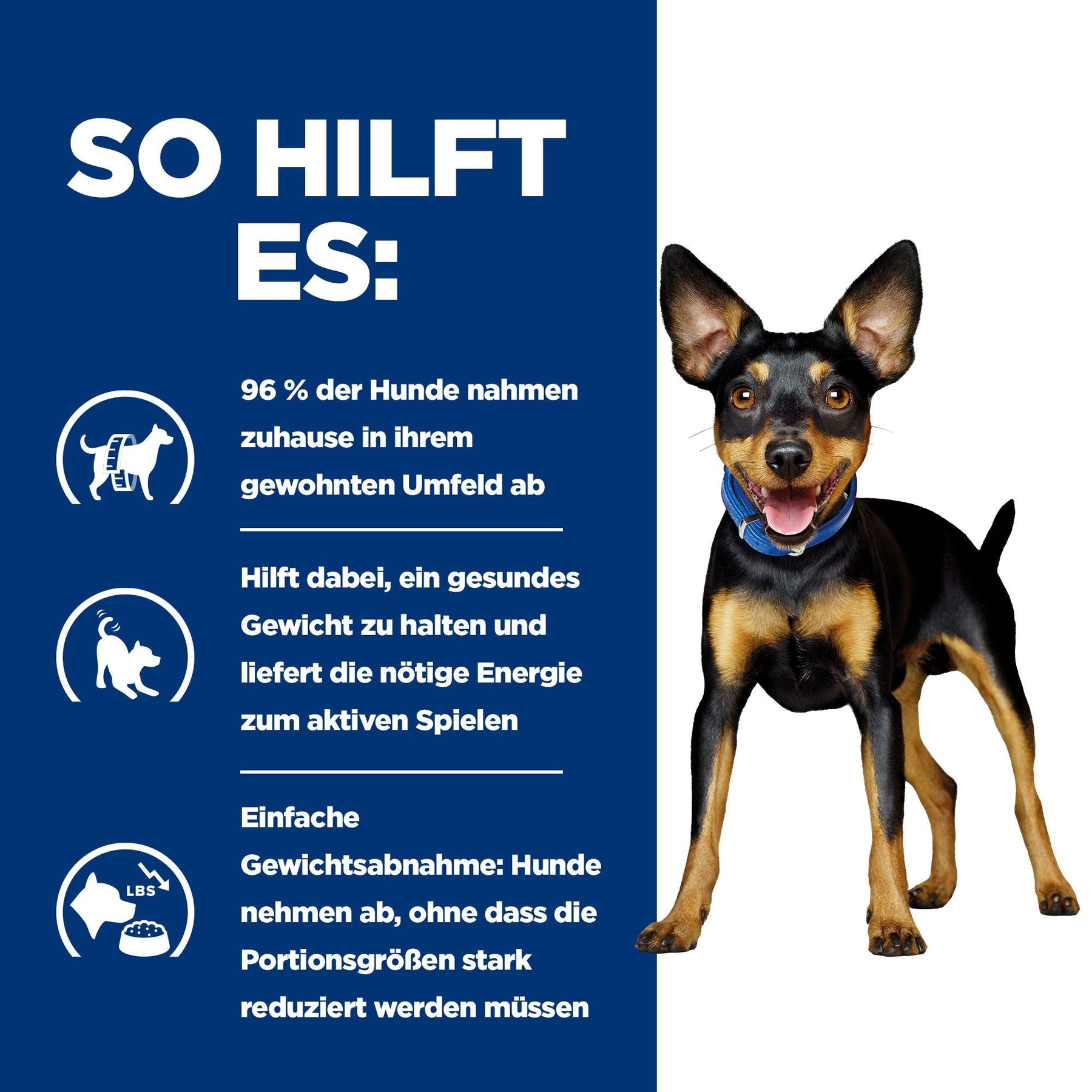 Hill's Prescription Diet Metabolic Hundefutter mit Huhn