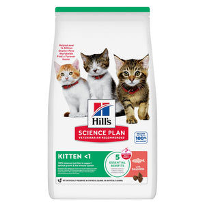 Hill's Science Plan Kitten Kätzchenfutter mit Lachs