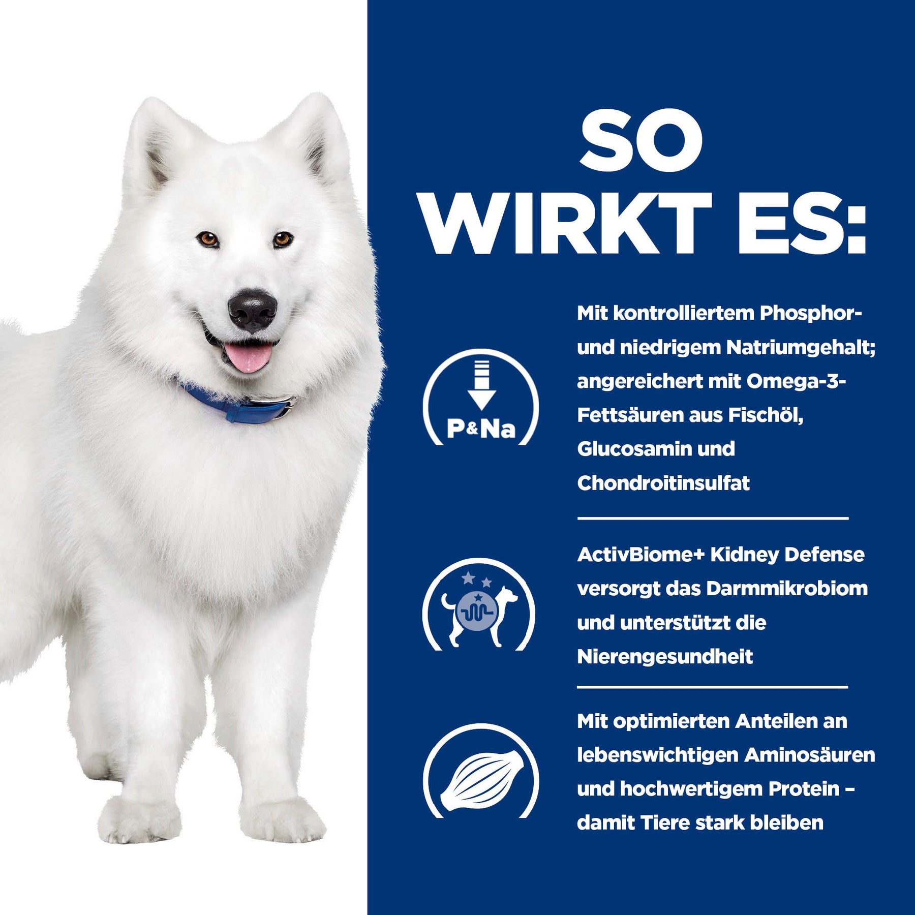 Hill's Prescription Diet k/d + Mobility Trockenfutter für Hunde