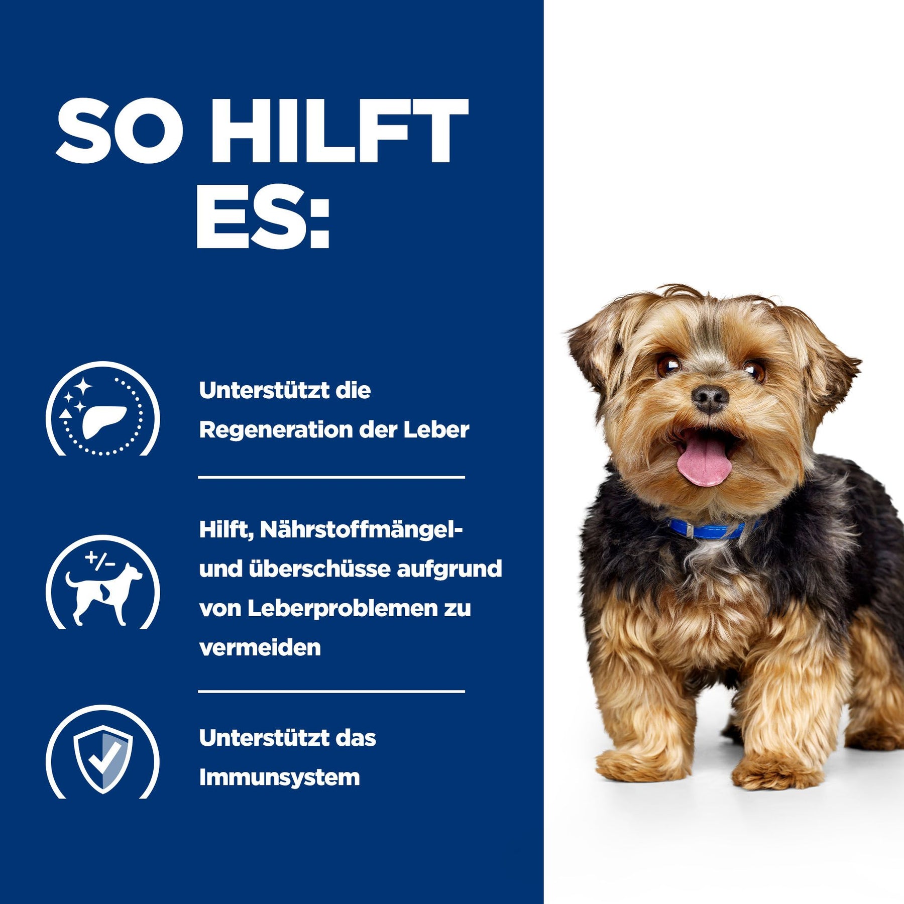 Hill's PRESCRIPTION DIET l/d Aliment pour Chien