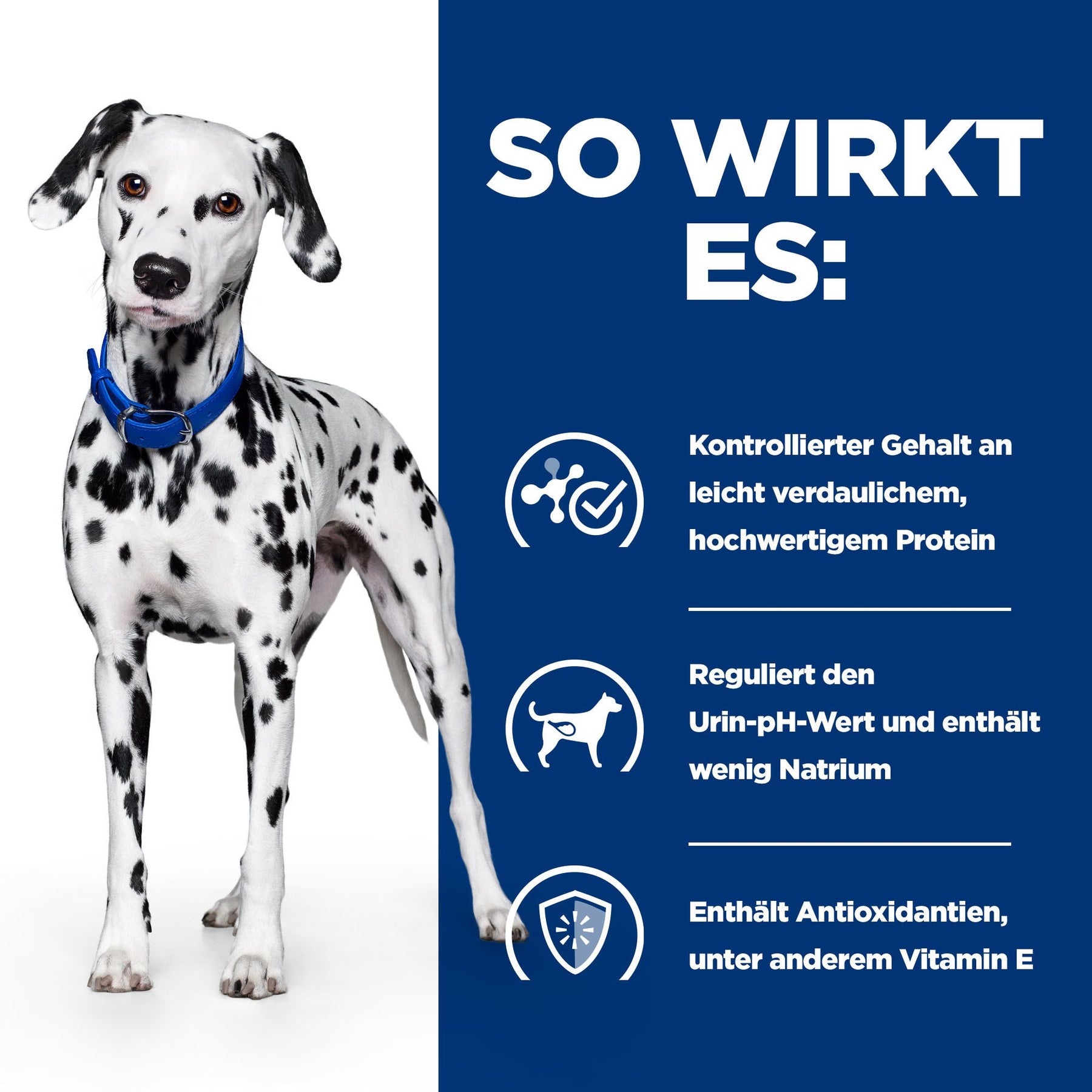 Hill's Prescription Diet u/d Aliment pour Chien