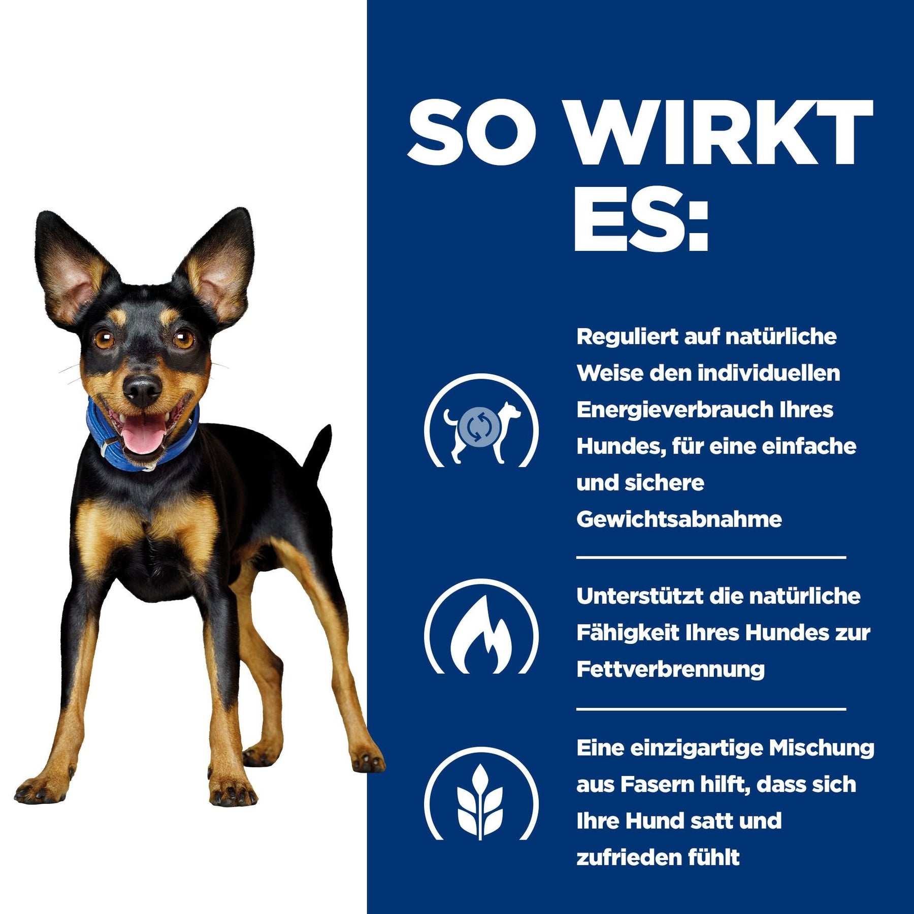 Hill's Prescription Diet Metabolic Hundefutter mit Huhn