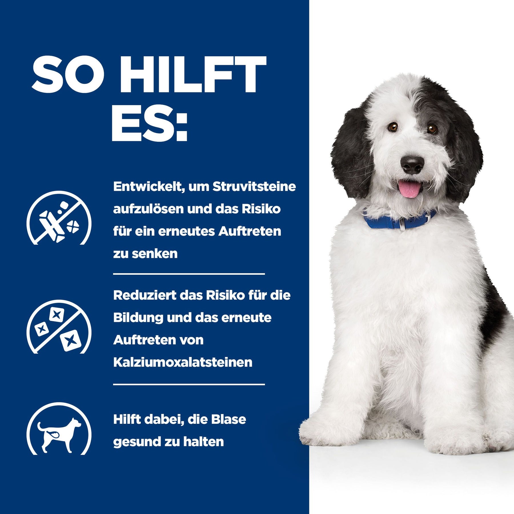 Hill's Prescription Diet c/d Multicare Ragout für Hunde mit Huhn und zugefügtem Gemüse