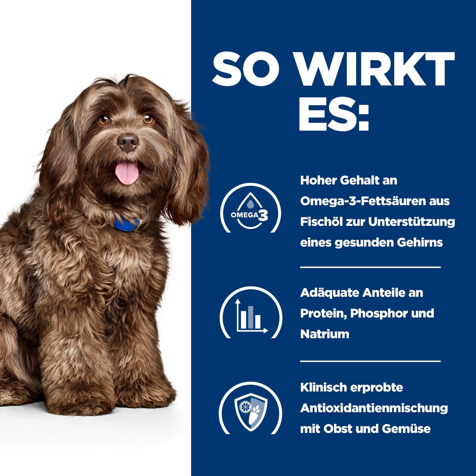 b/d Trockenfutter für Hunde mit Huhn How It Works