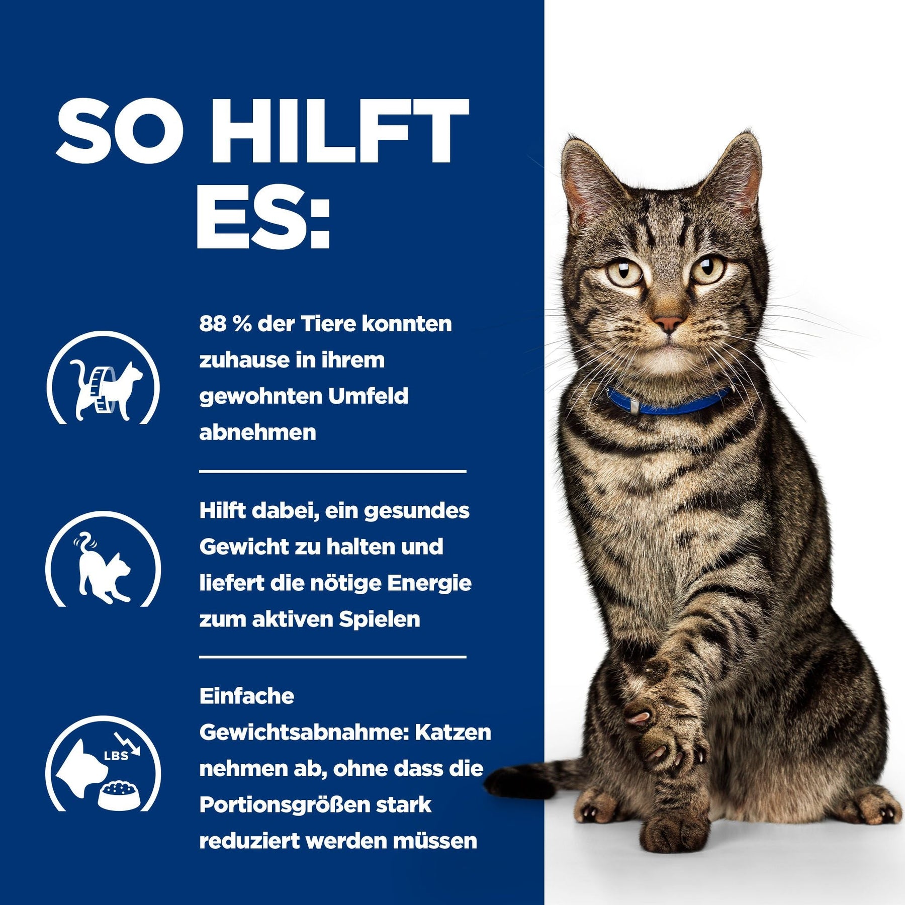 Hill's Prescription Diet Metabolic Katzenfutter mit Huhn