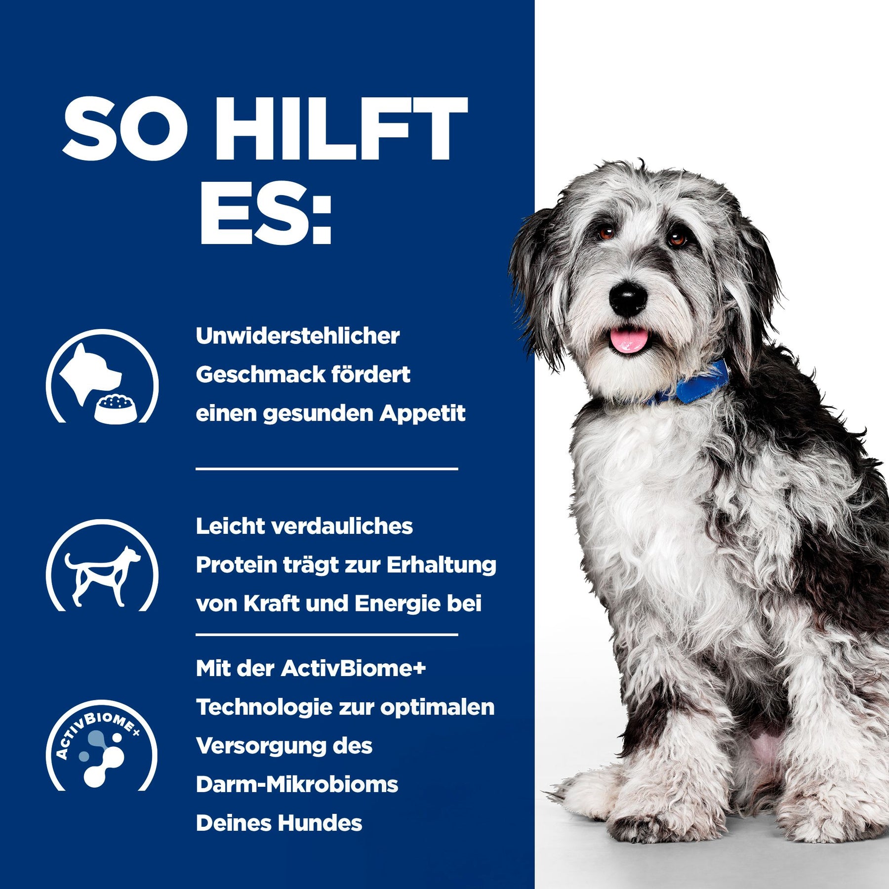 Hill's Prescription Diet On-Care Ragout für Hunde mit Huhn und zugefügtem Gemüse