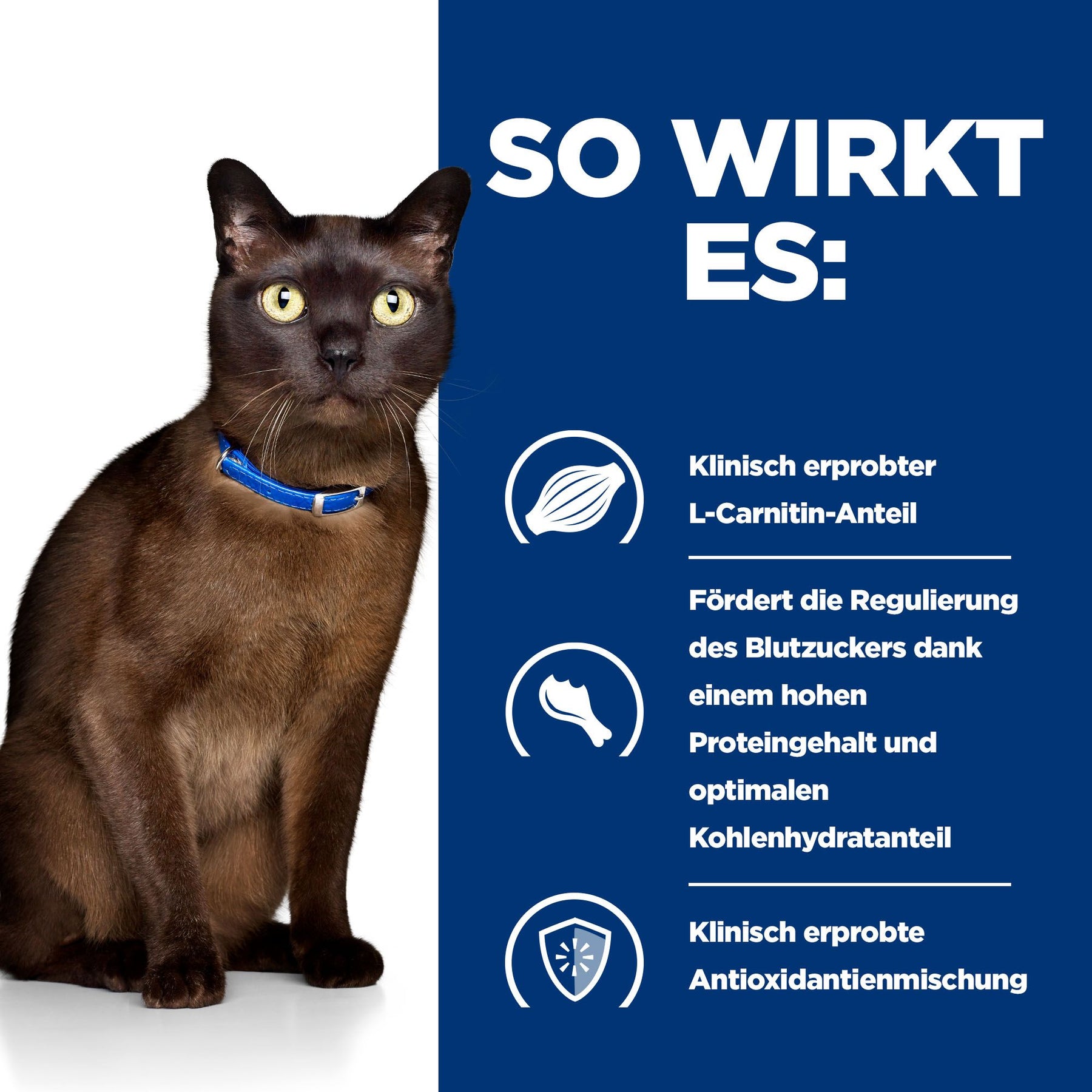 Hill's Prescription Diet m/d Aliment pour Chat au Poulet