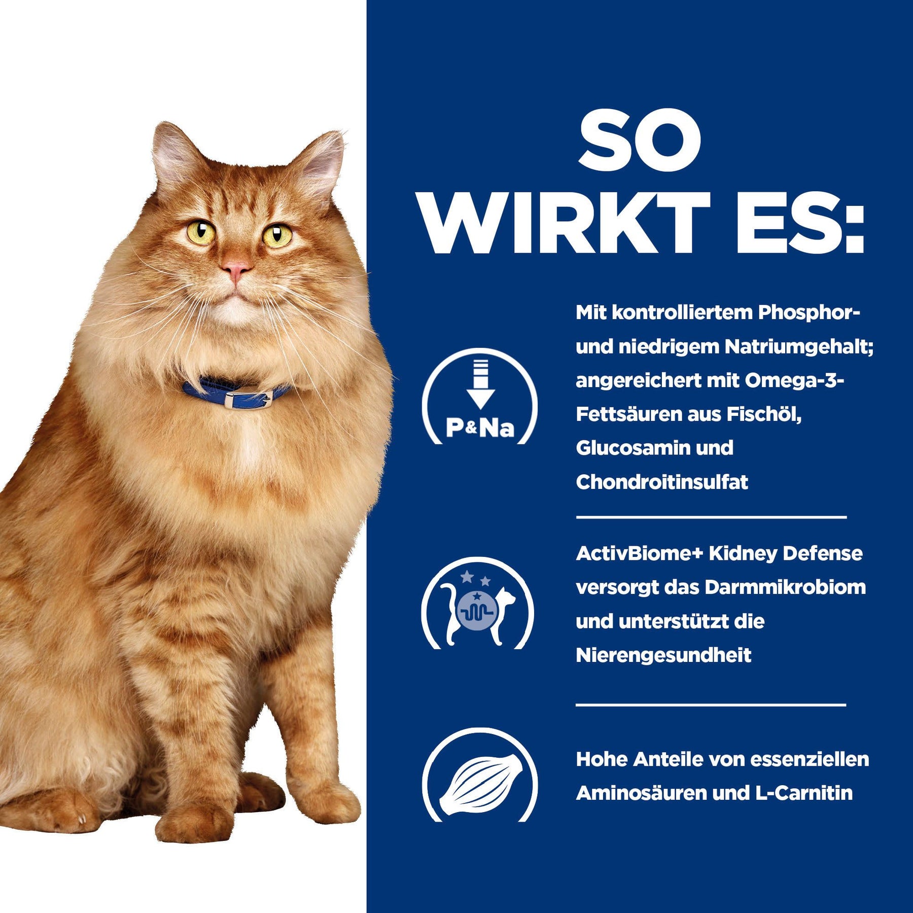 Hill’s Prescription Diet k/d + Mobility Croquettes pour Chat au Poulet