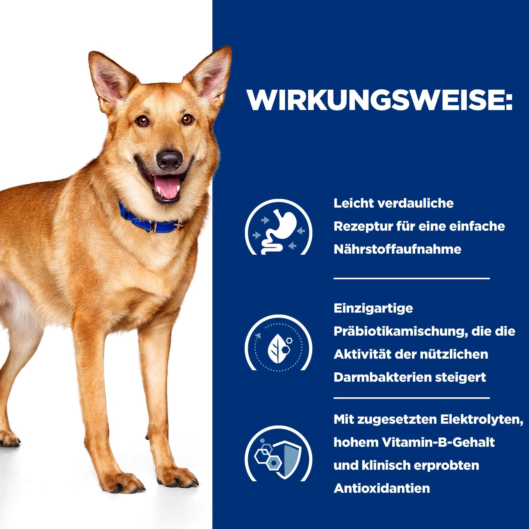 i/d Ragout für Hunde How It Works
