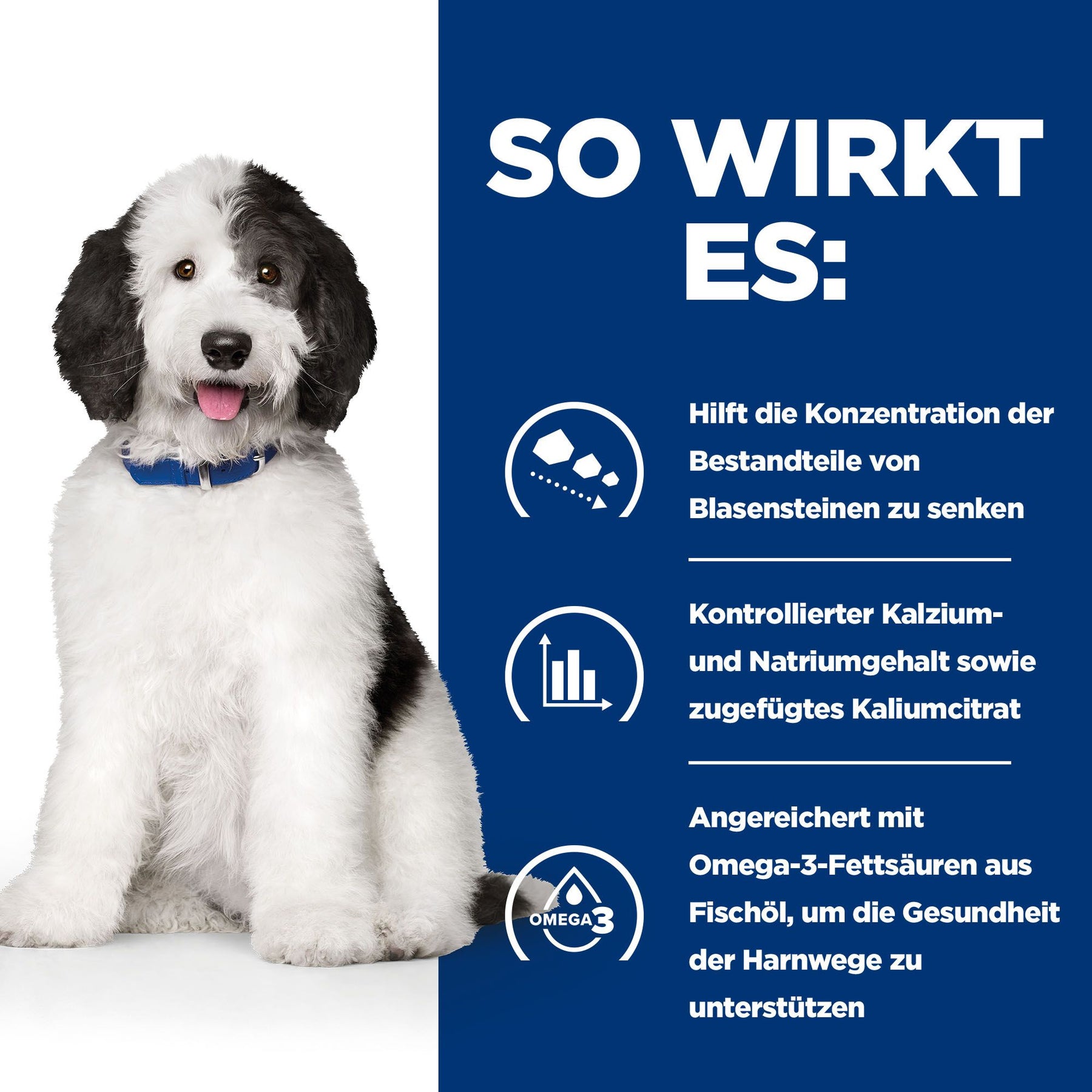 Hill's Prescription Diet c/d Multicare Aliment pour Chien